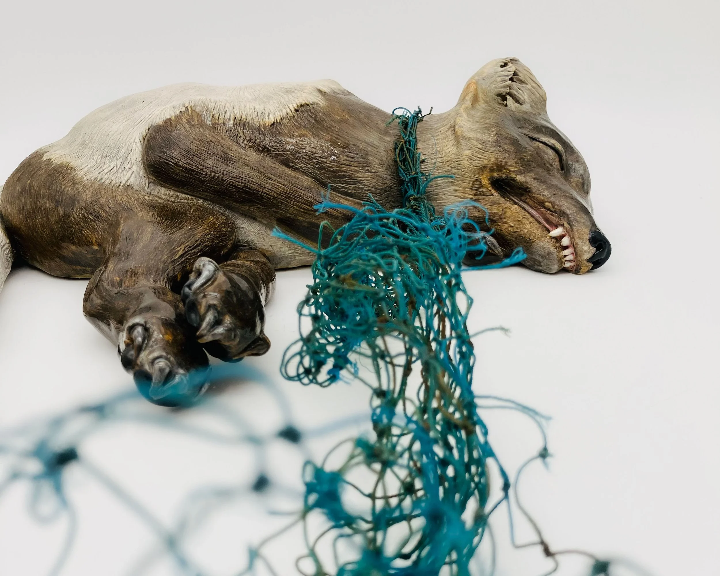 Entangled Arctic fox