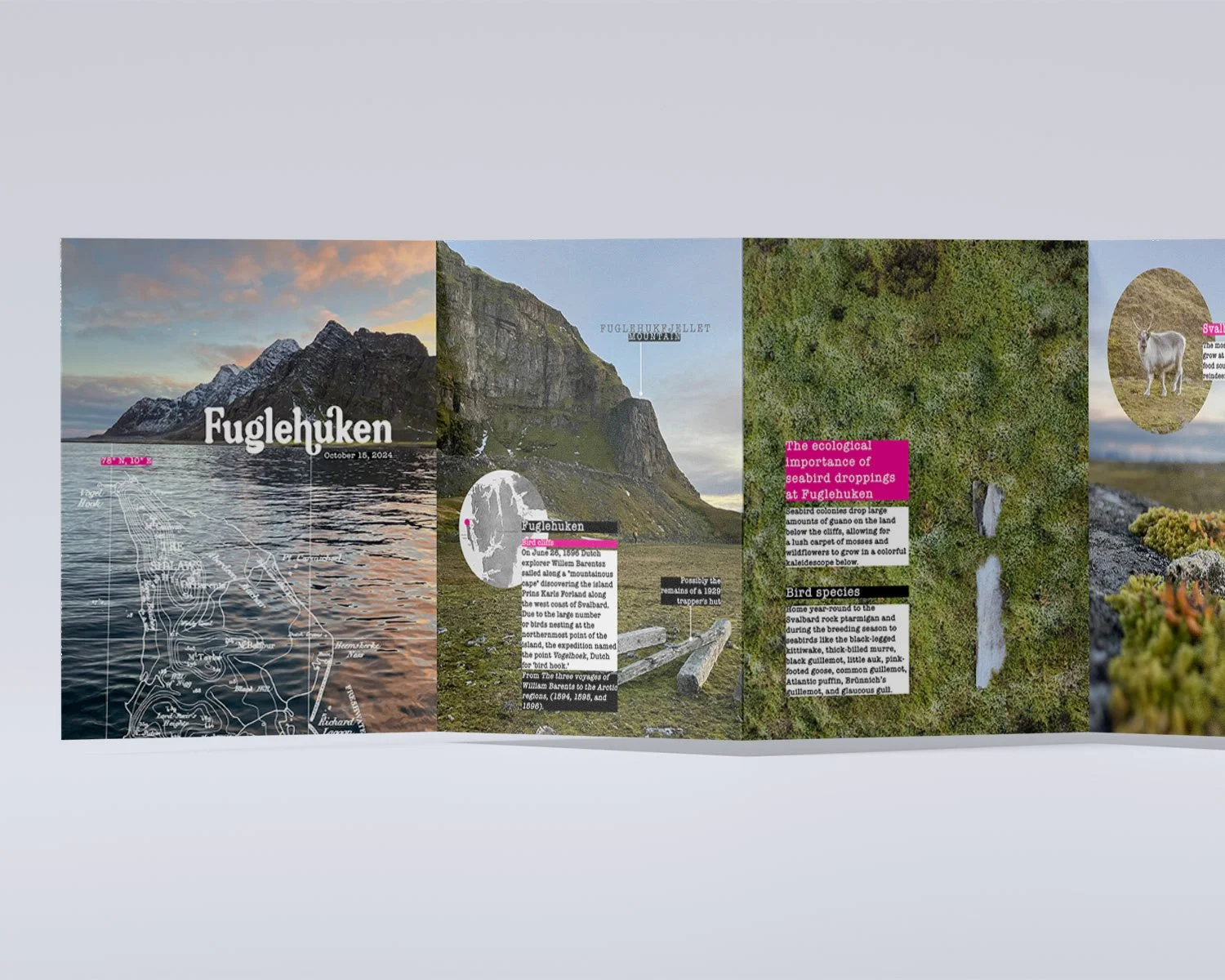 Fuglehuken, Svalbard