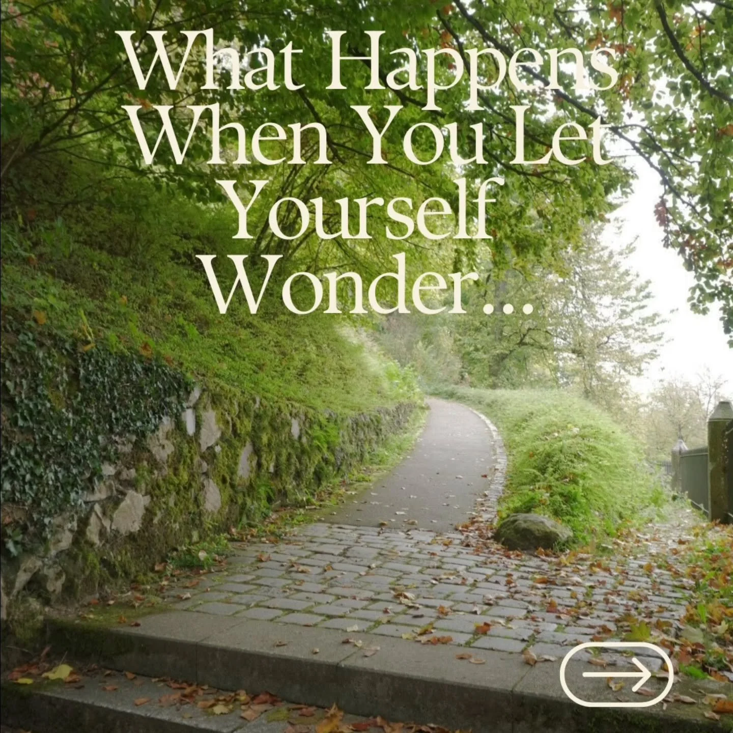 I didn&rsquo;t know this part of the trip would change me.

I arrived with no real plan, just an openness to wander, listen, and let the city show me what I needed to see.

From waking up on a hillside overlooking fall-soaked rooftops&hellip; to sipp