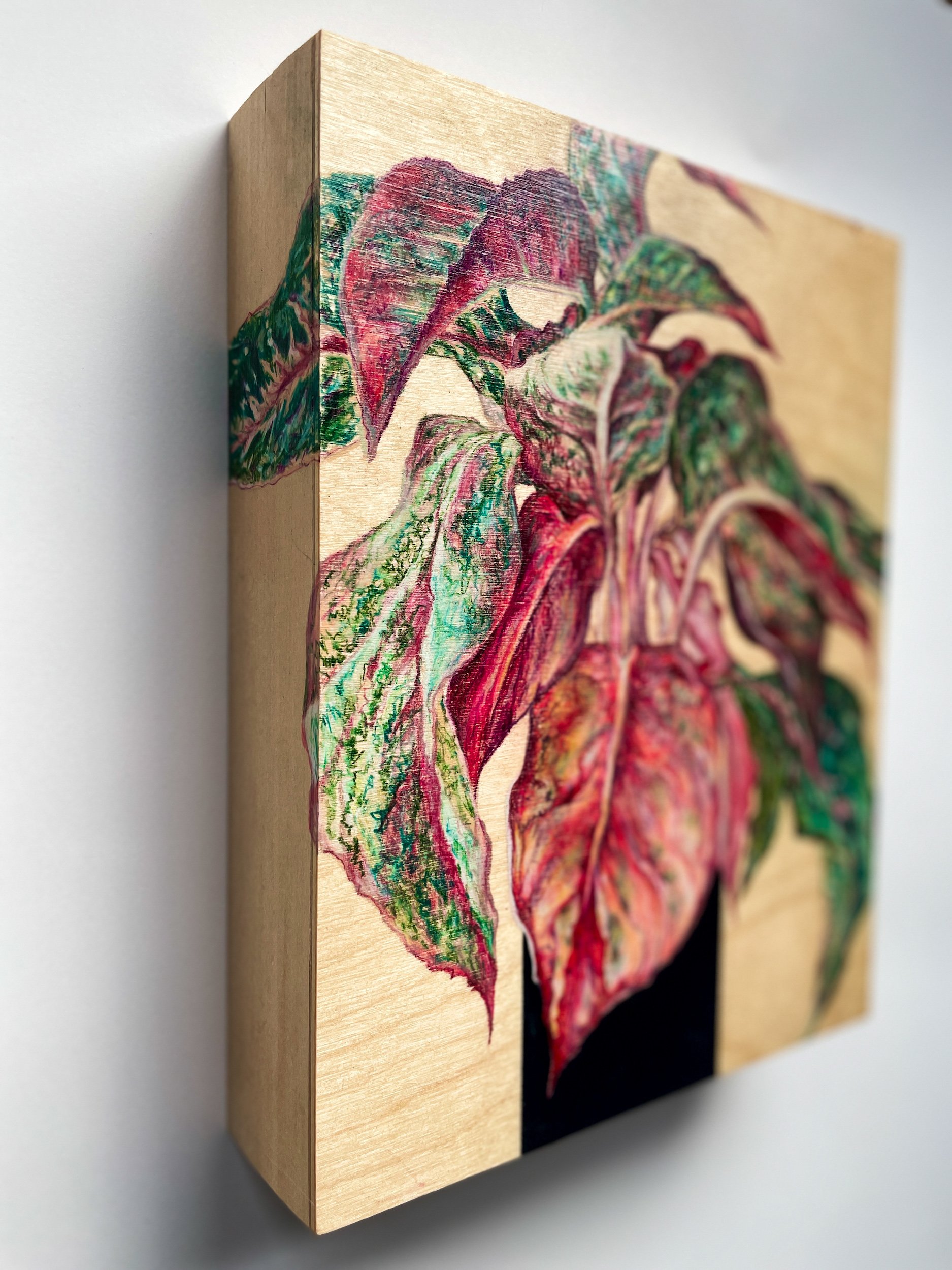  Marble Princess  - side detail