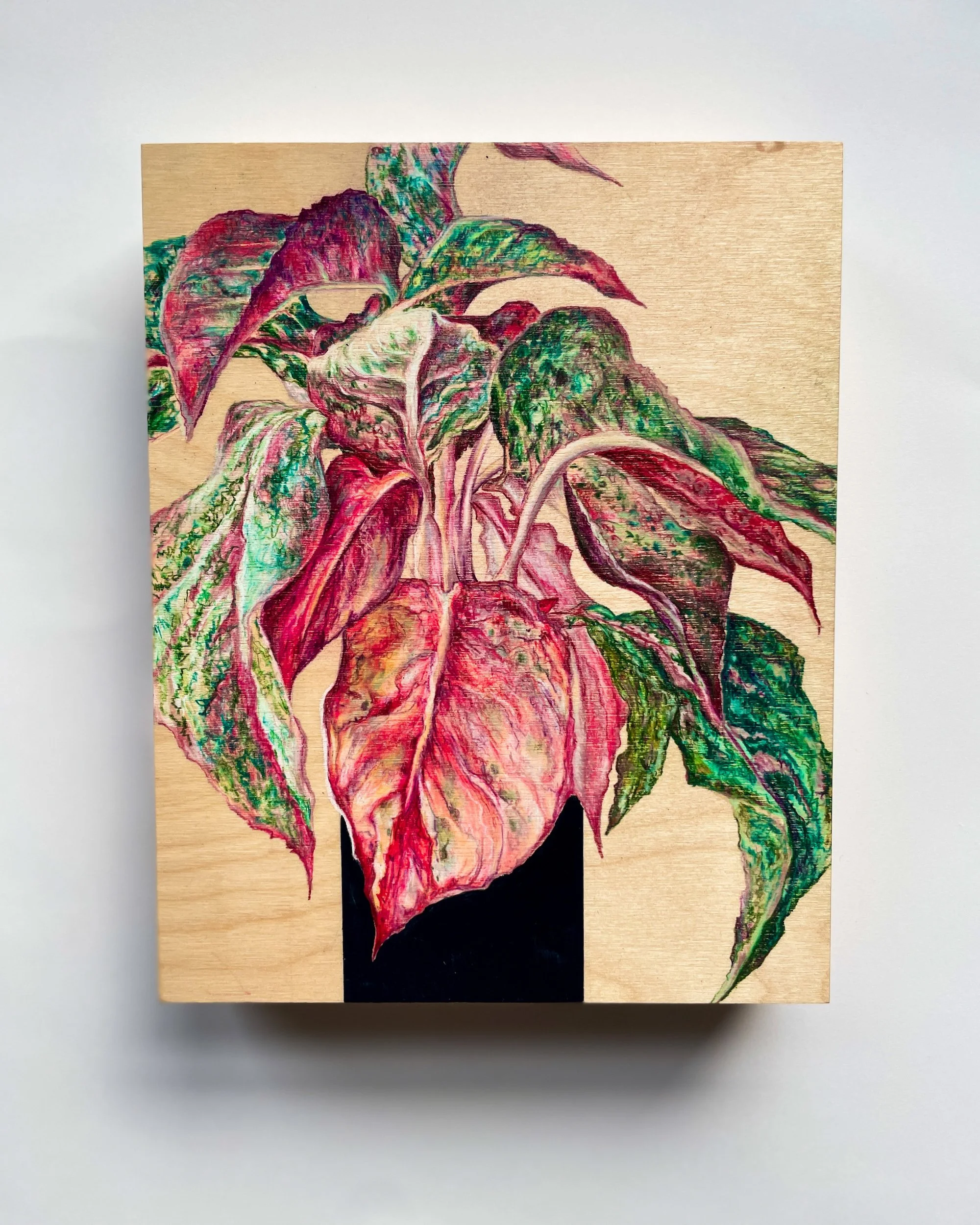  Marble Princess , 2023 Pencil and acrylic on wood panel 10"x8"x2" $450