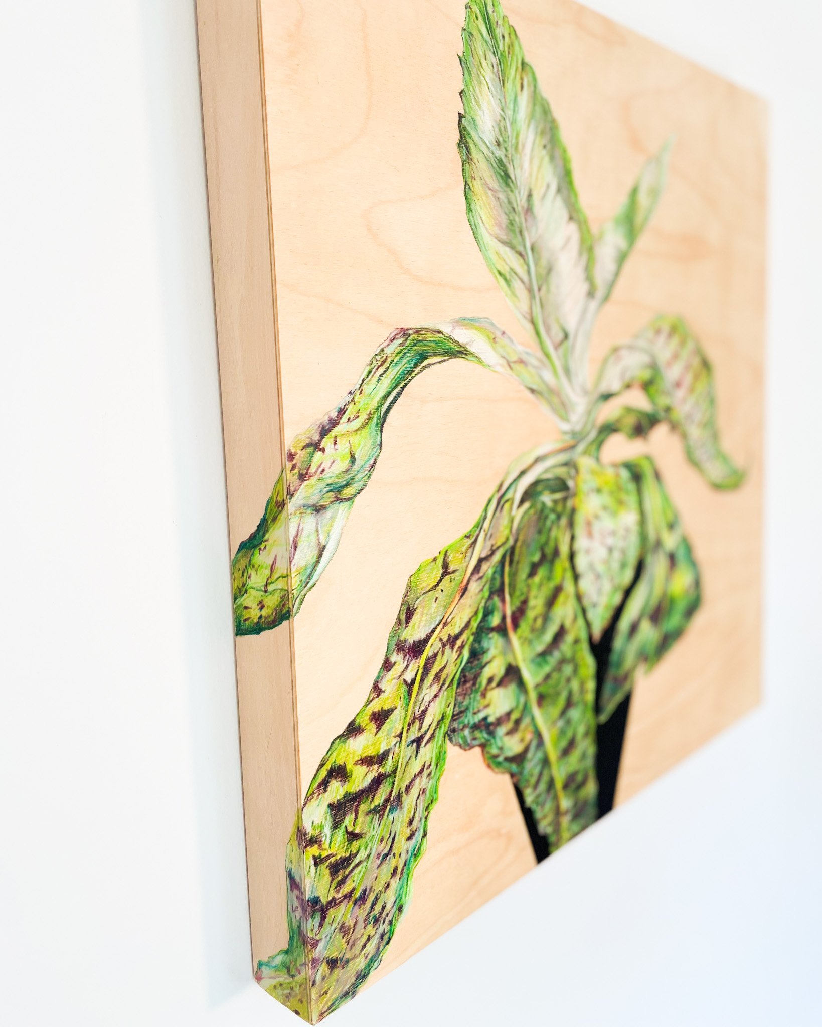  Donkey  - side detail