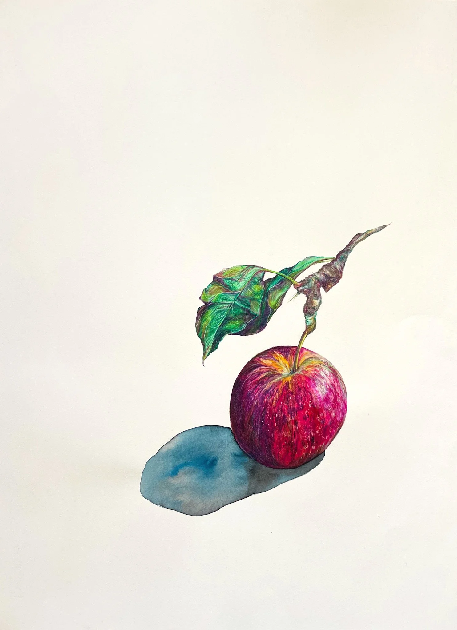  Lone Apple , 2024 Pencil and watercolor on paper 29.75"x22" $950