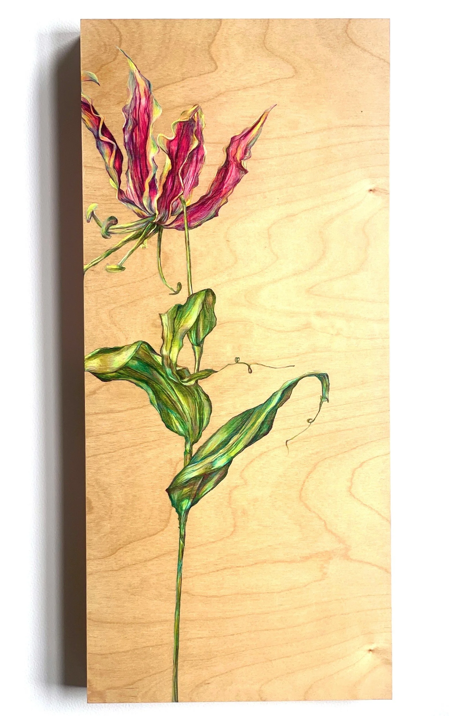  Gloriosa , 2024 Pencil on wood panel 22"x10"x1.75" $550
