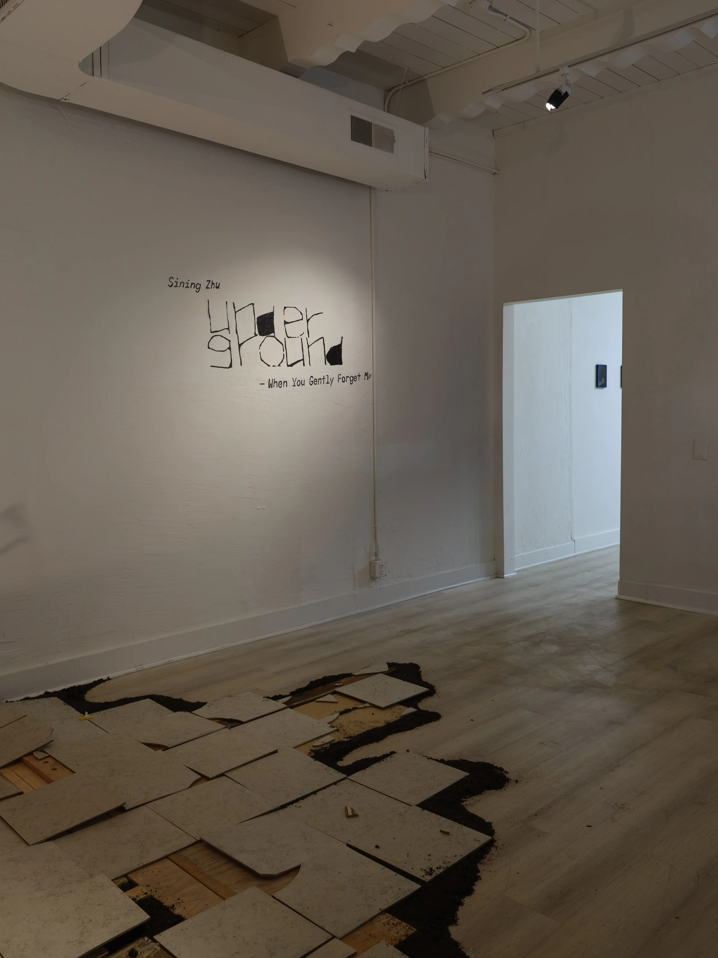 Web (35 of 86).jpg