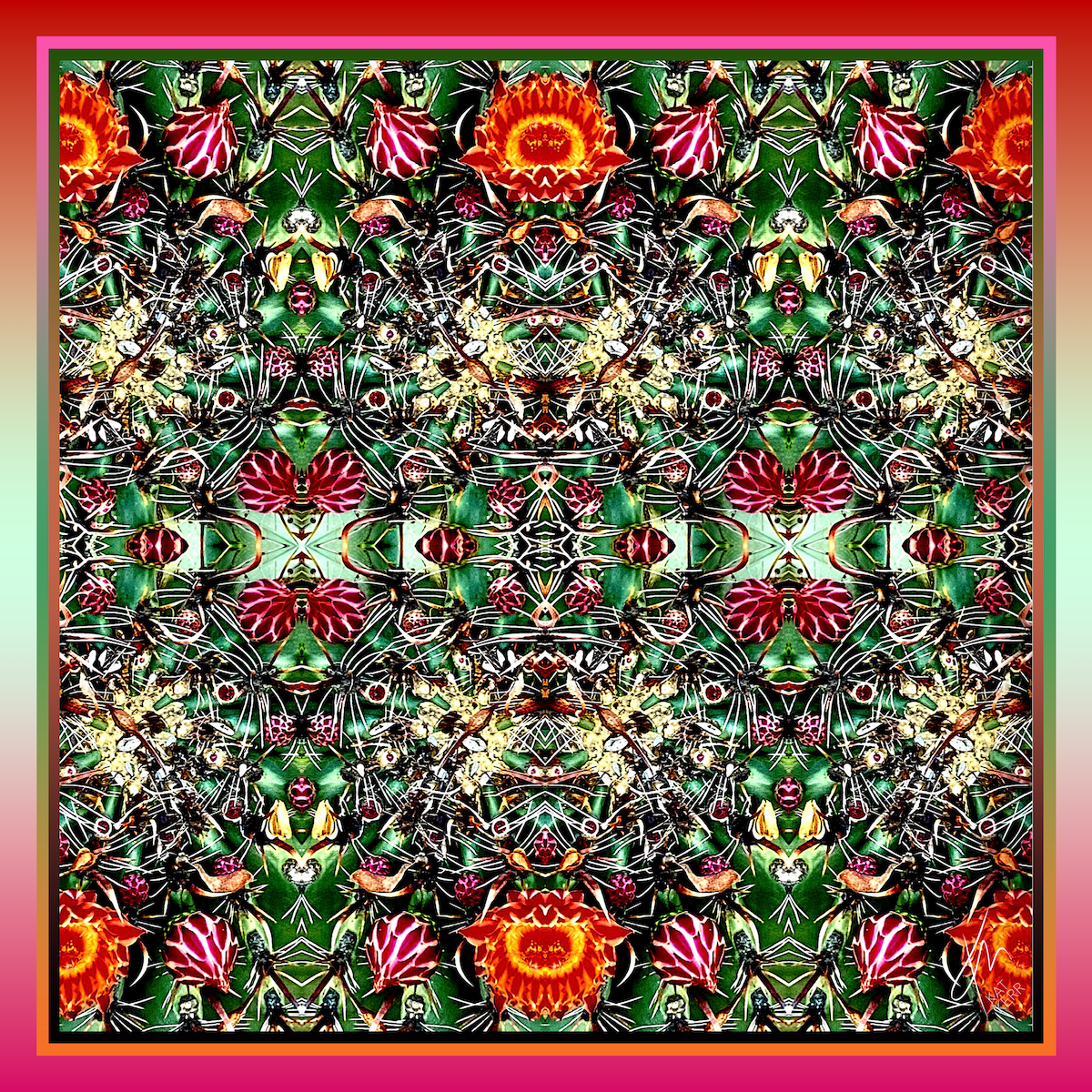 "Phoenix" is a 100% silk art scarf by KAT KERR, featuring an explosion of red, green, and pink flowering elements and bordered with coordinating colours.