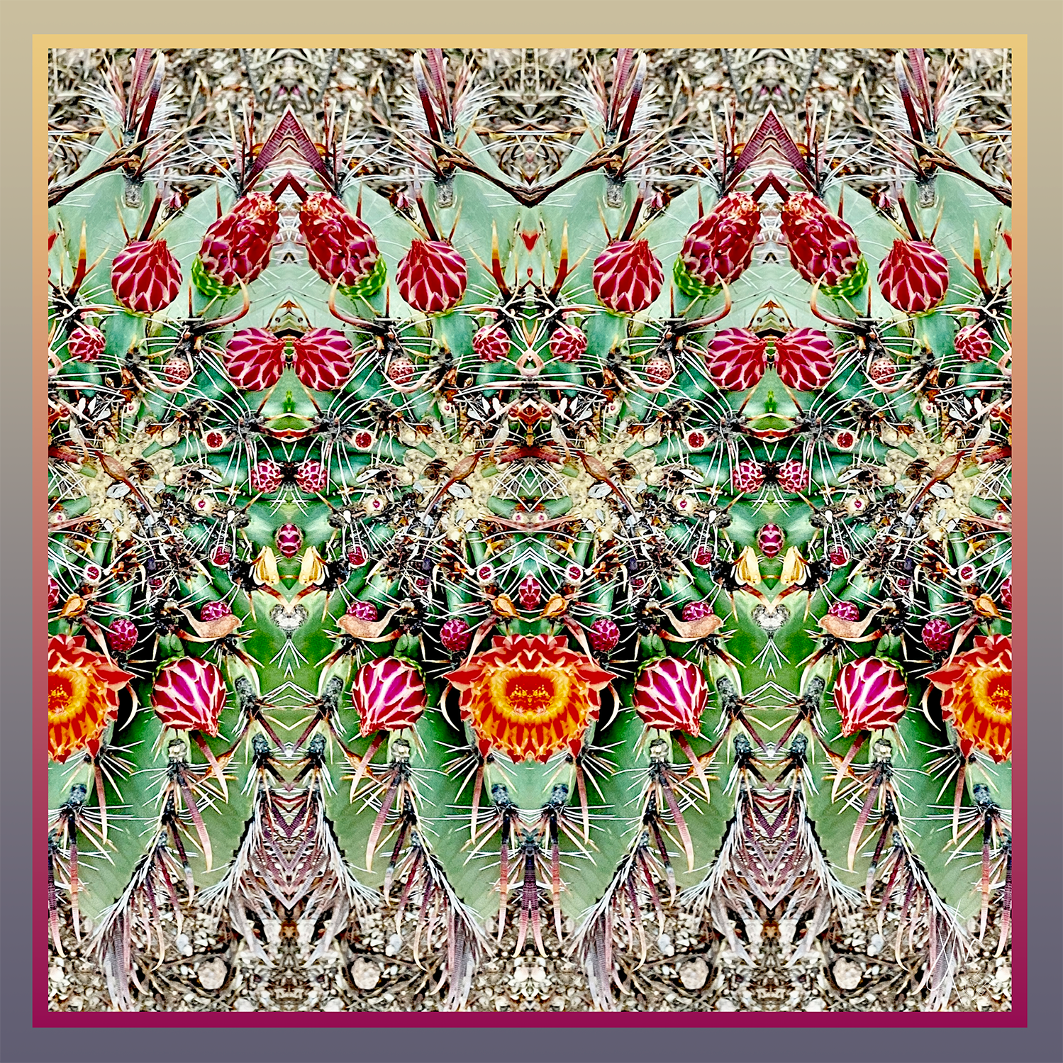 Desert Blooms silk scarf with vivid cactus flowers in pink, red, and green, inspired by desert flora and survival. By Kat Kerr Art