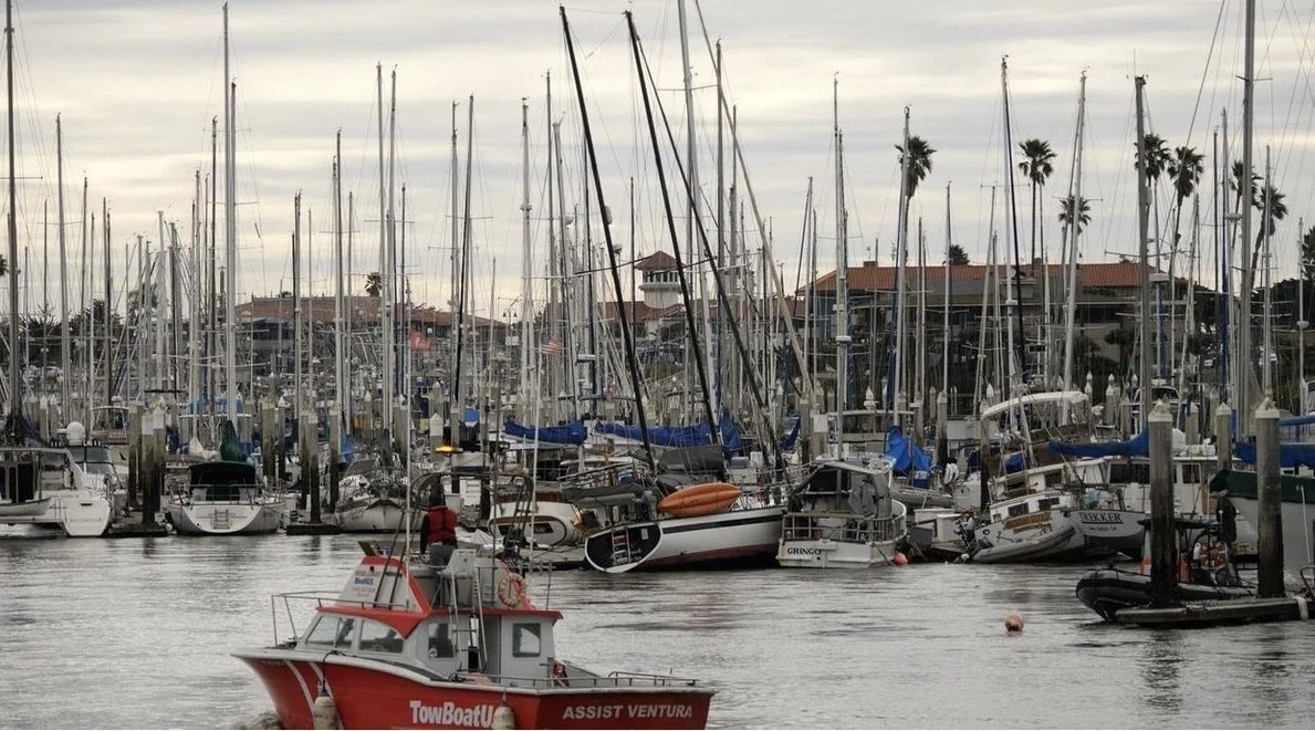 A marina filled with numerous sailboats and motorboats docked along the piers, with some palm trees and buildings in the background under a cloudy sky.