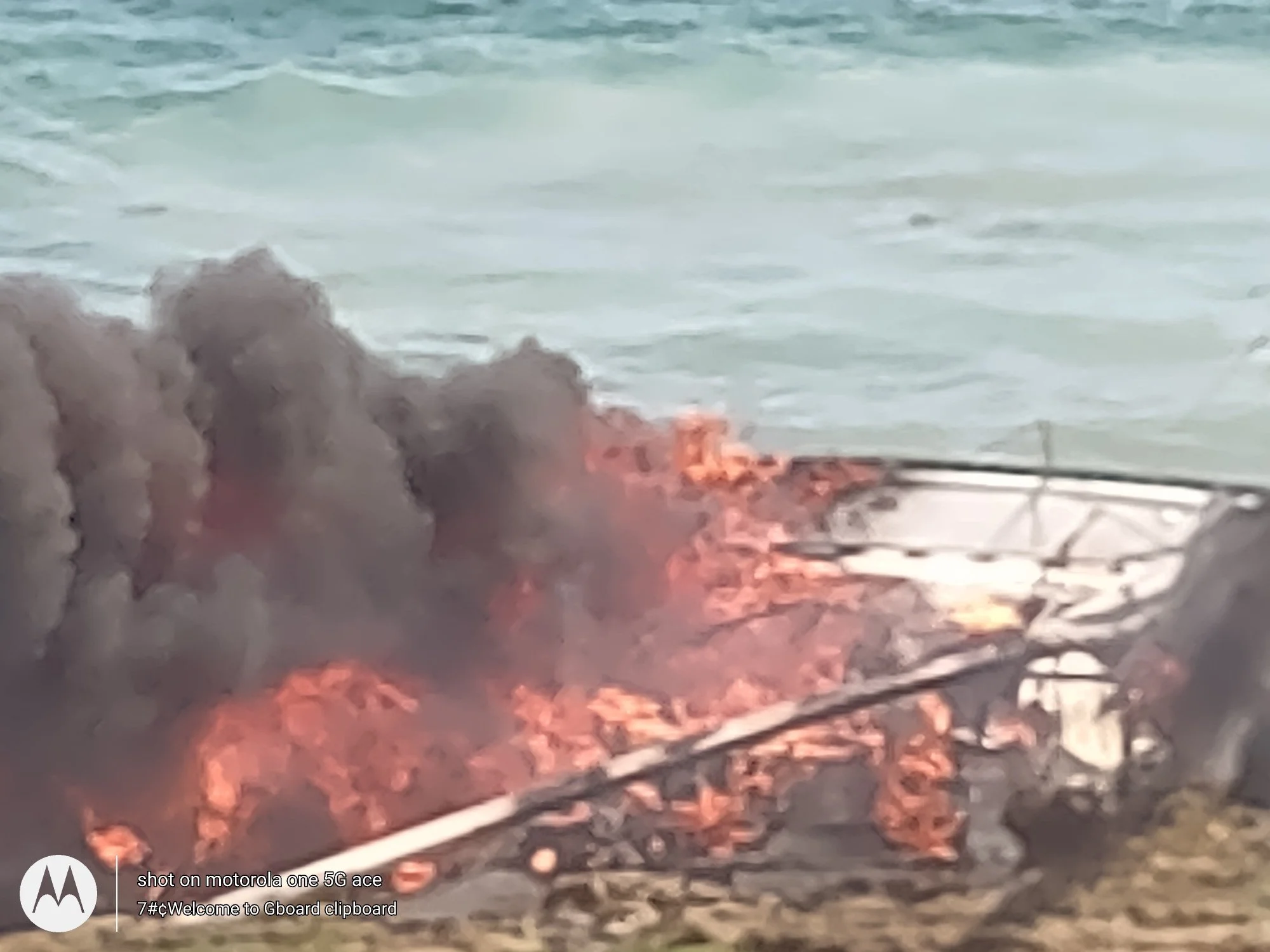 The fire at Santa Rosa Island is a deeply tragic incident within a protected National Park and
Marine Sanctuary. Our thoughts are with the safety and well-being of all responders, as well as the National Park employees and stewards who dedicate thems
