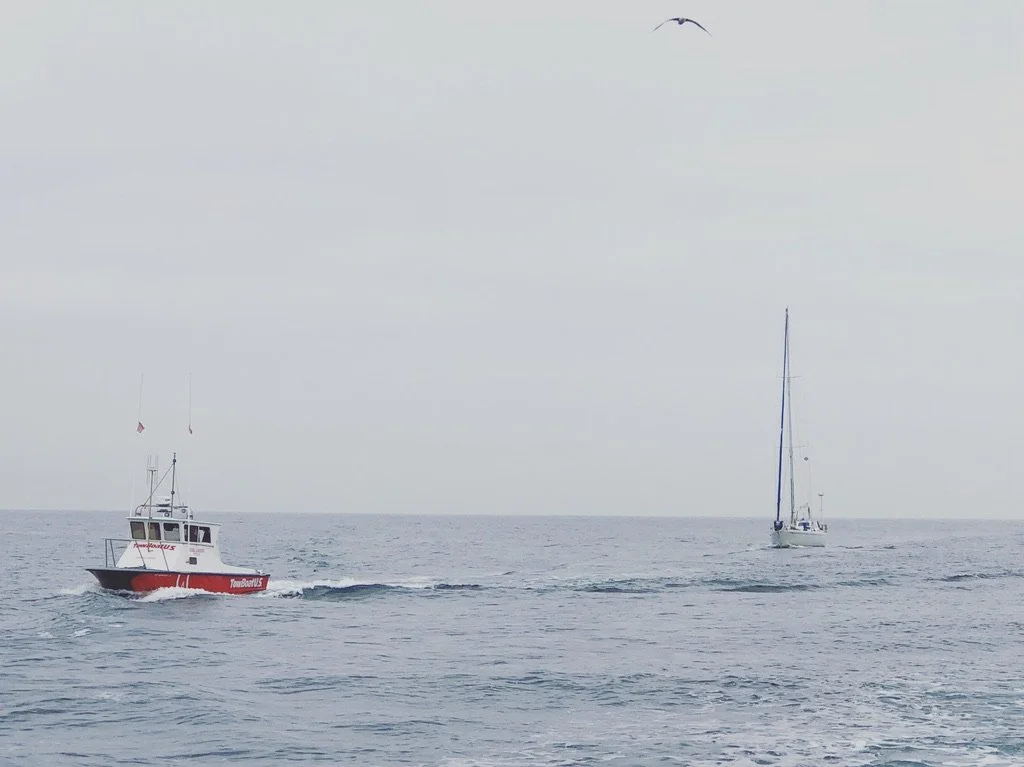 A small motorboat towing a sailboat on open water with a bird flying overhead.