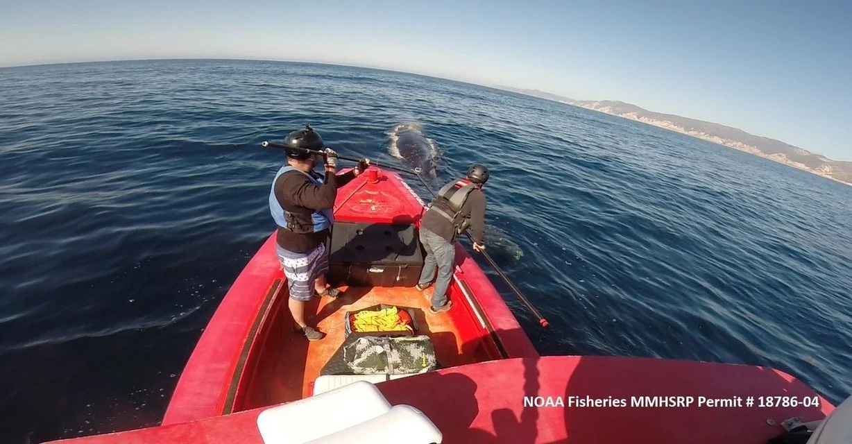 Two people on a red boat fishing in the open ocean with land in the distance.