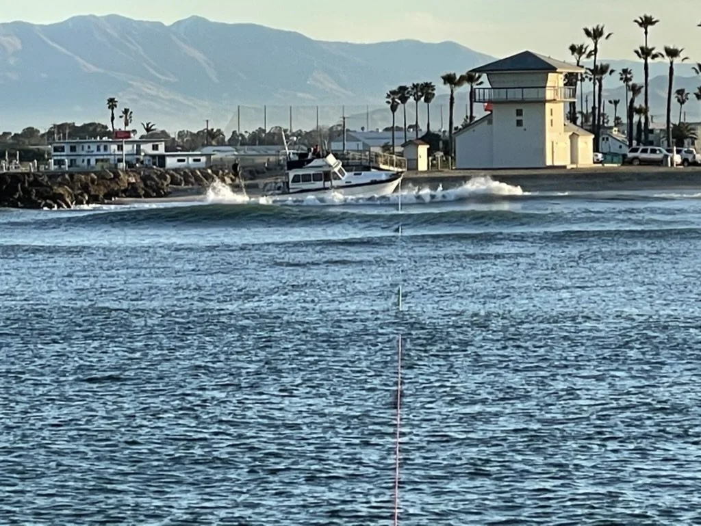 A boat speeding across a body of water near a shoreline with buildings, palm trees, and mountains in the background.