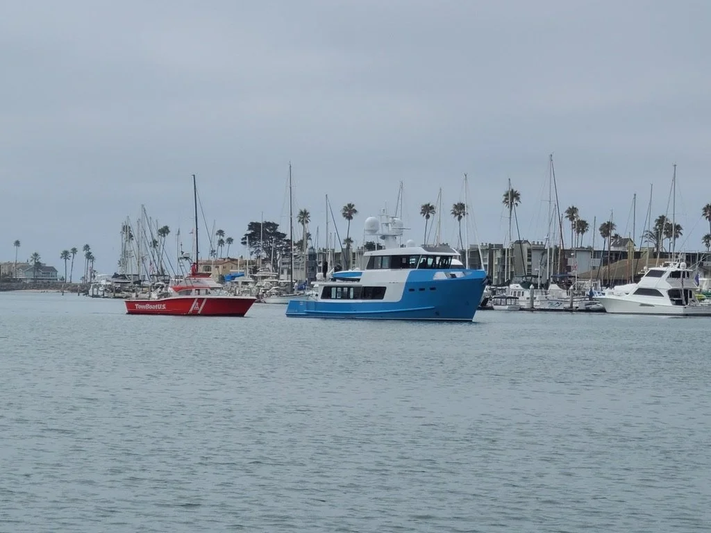 A marina with sailboats and motor yachts docked, palm trees in the background, and two prominent boats in the water, one red and one blue.