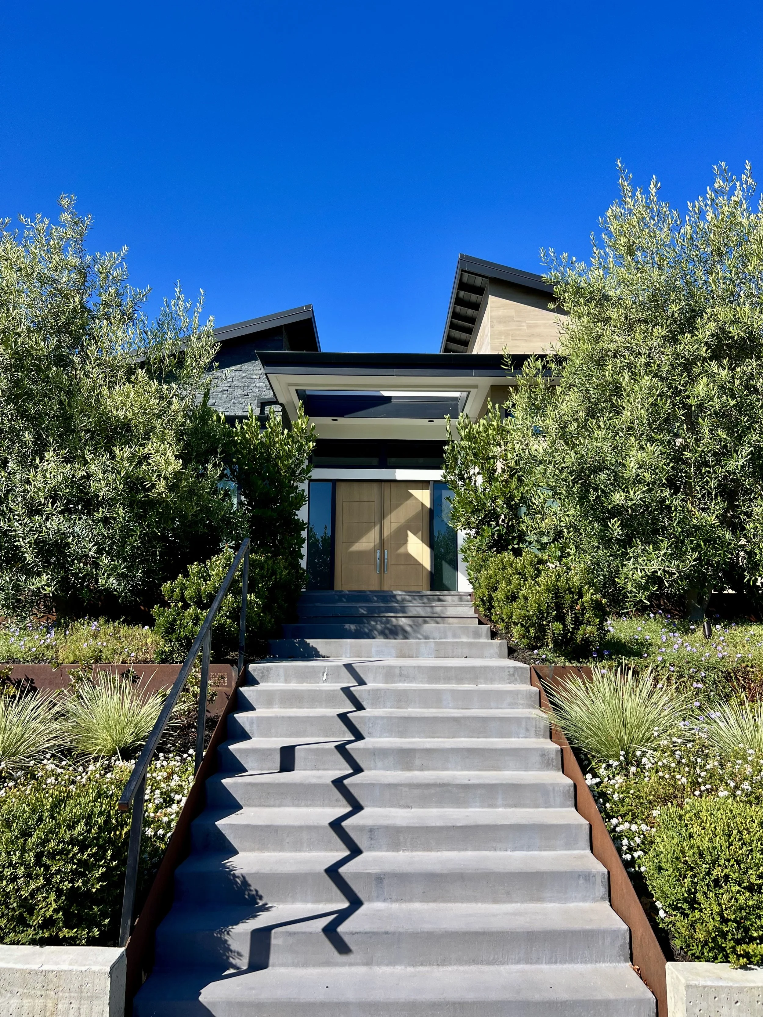 Hillsborough Modern Home