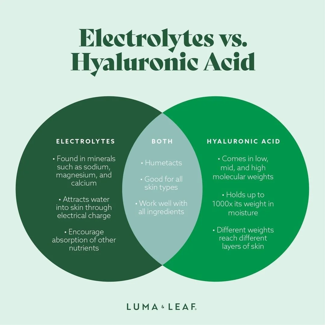 Luma & Leaf social asset