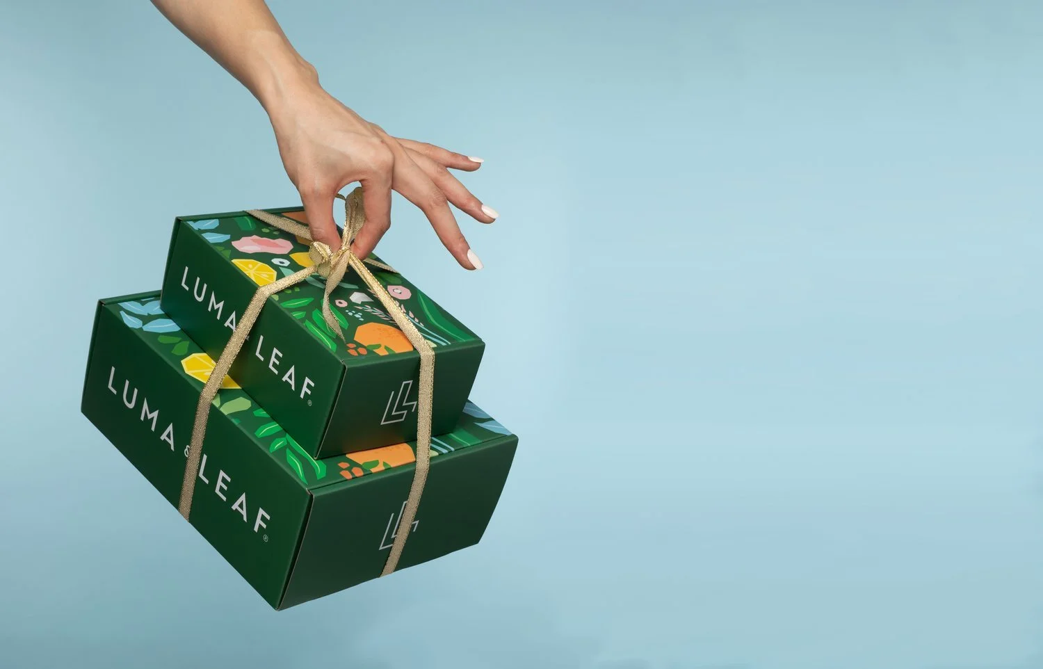 Luma & Leaf holiday campaign asset
