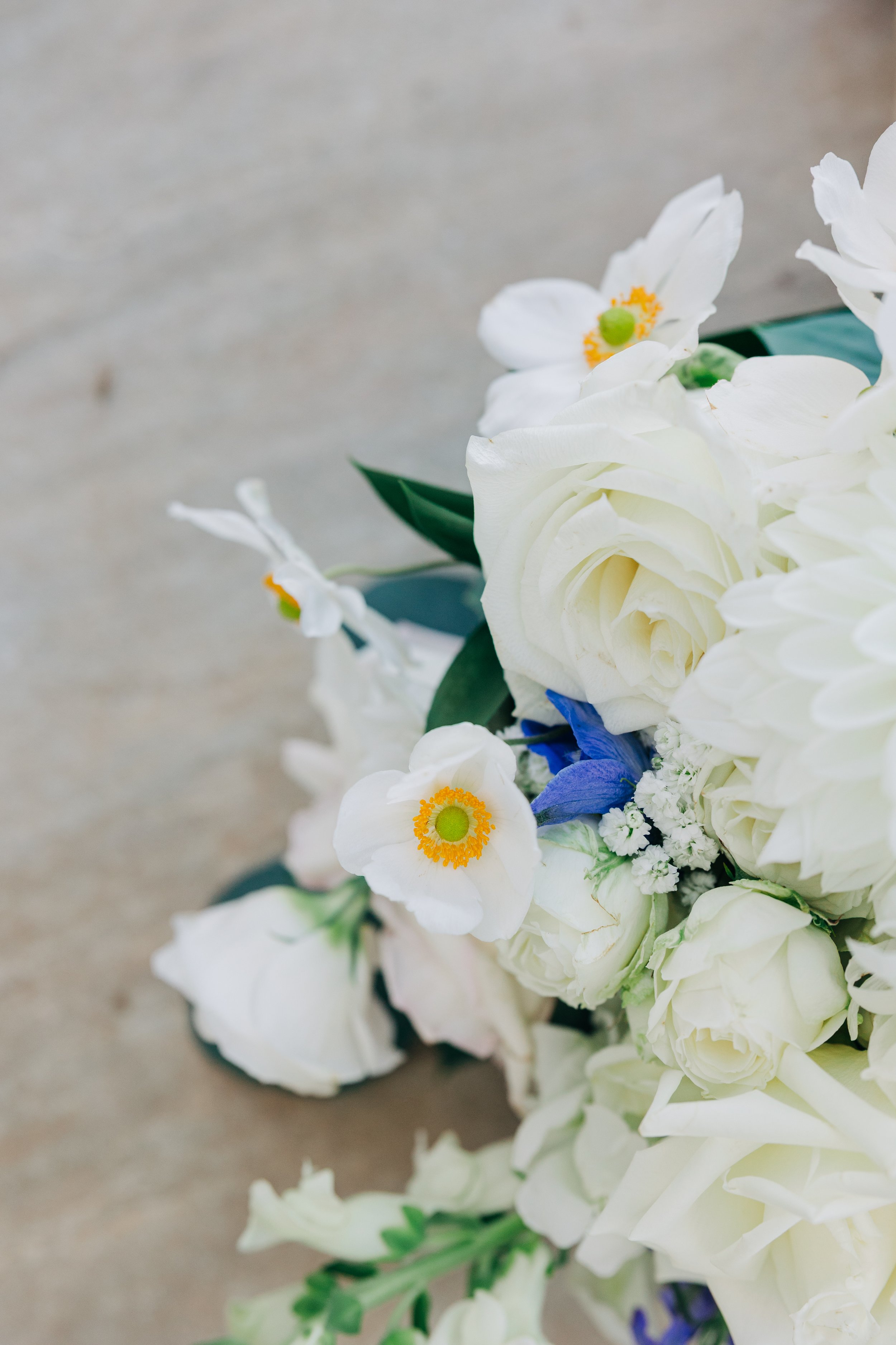 Close-up of white flowers with yellow and green centers, some purple flowers at the bottom, against a plain background.