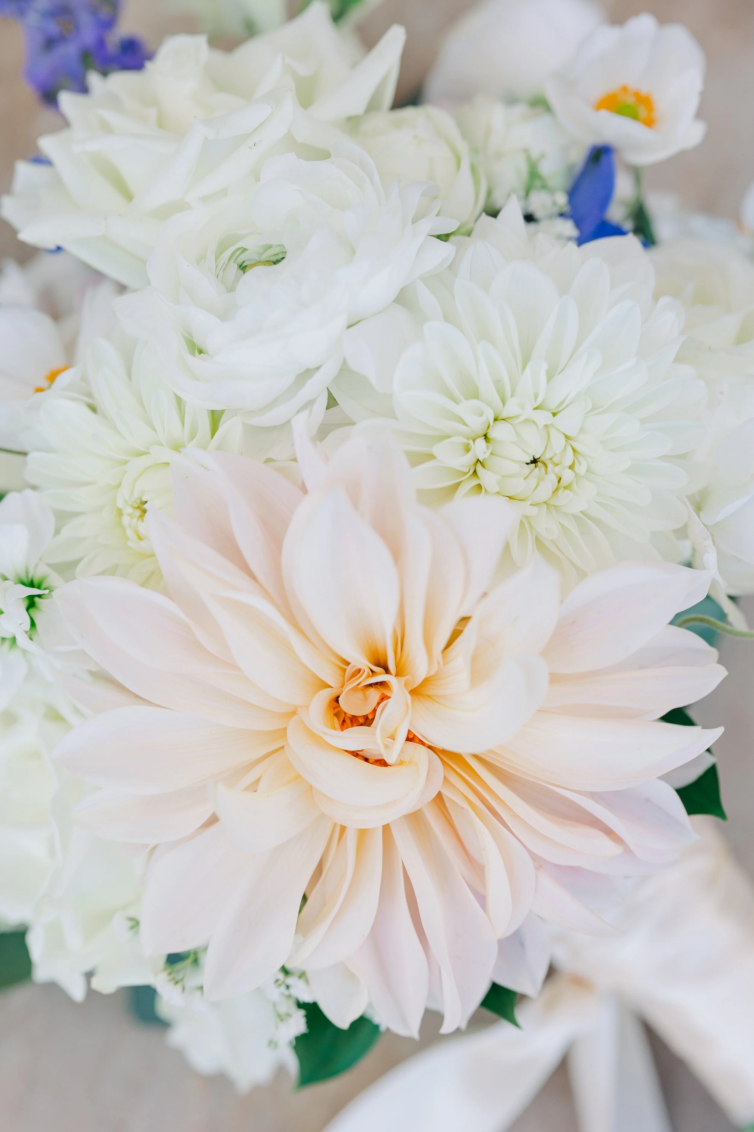 Close-up of a bouquet of white and blush pink flowers including dahlias and peonies.