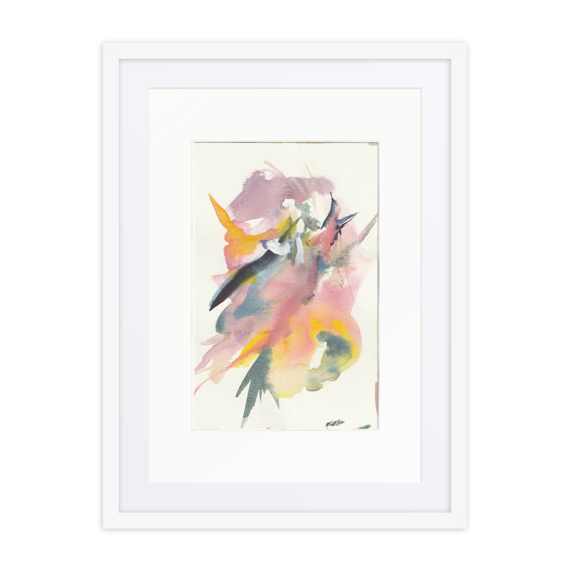 BIRDS OF PARADISE