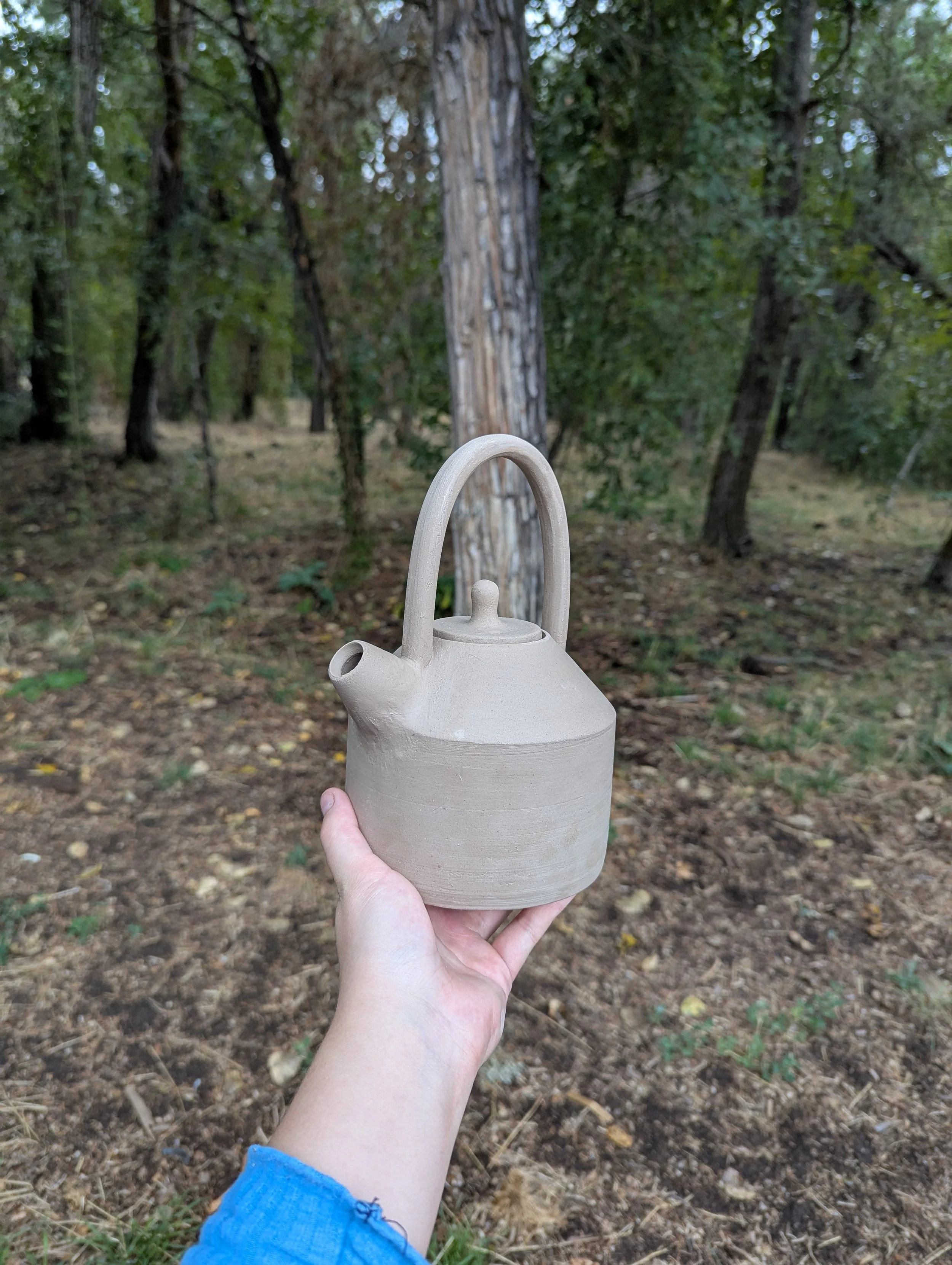 PXL_20250827_222406564 (1).jpg