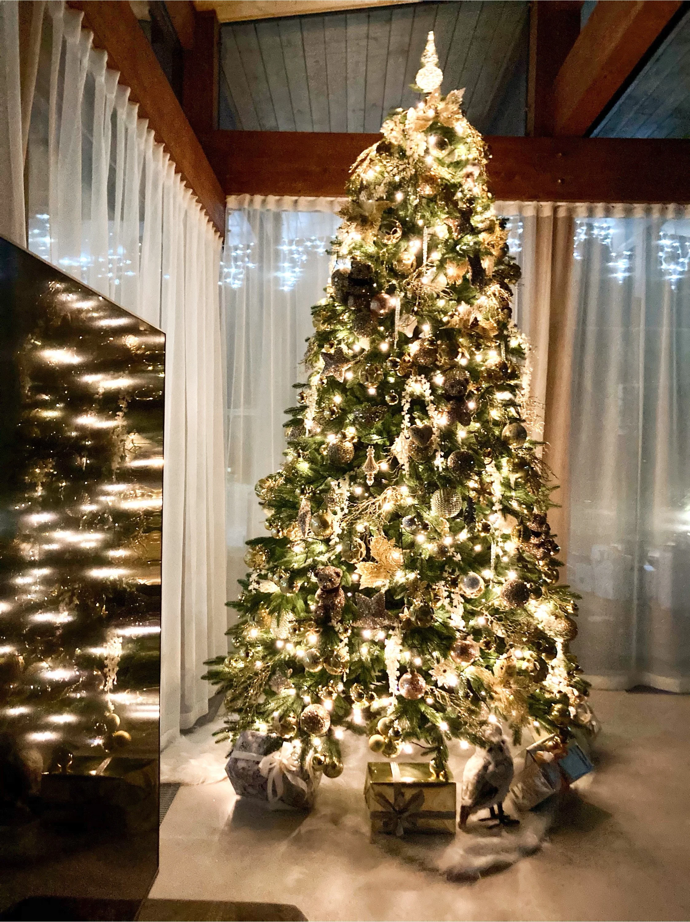 Christmas tree / Golden light