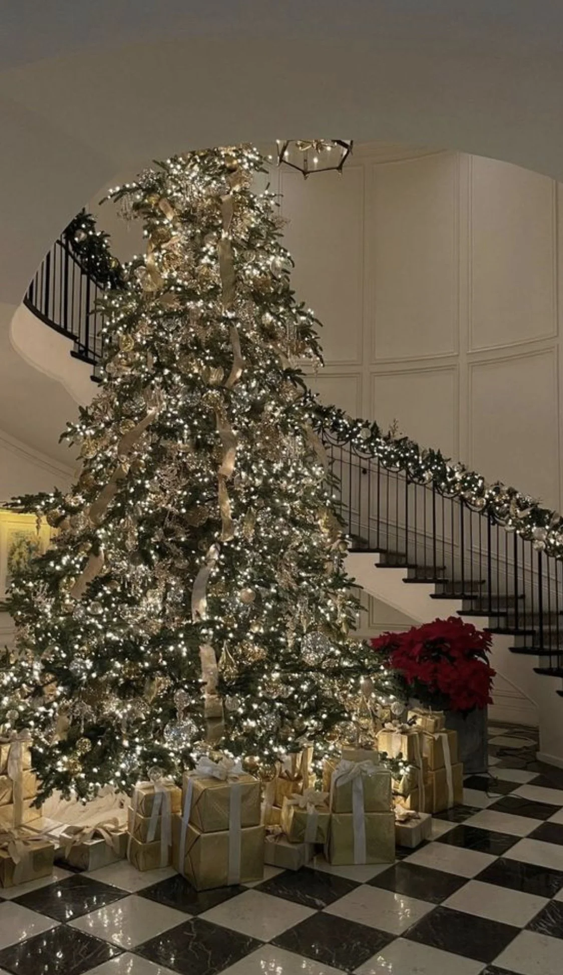 Christmas tree / Shine