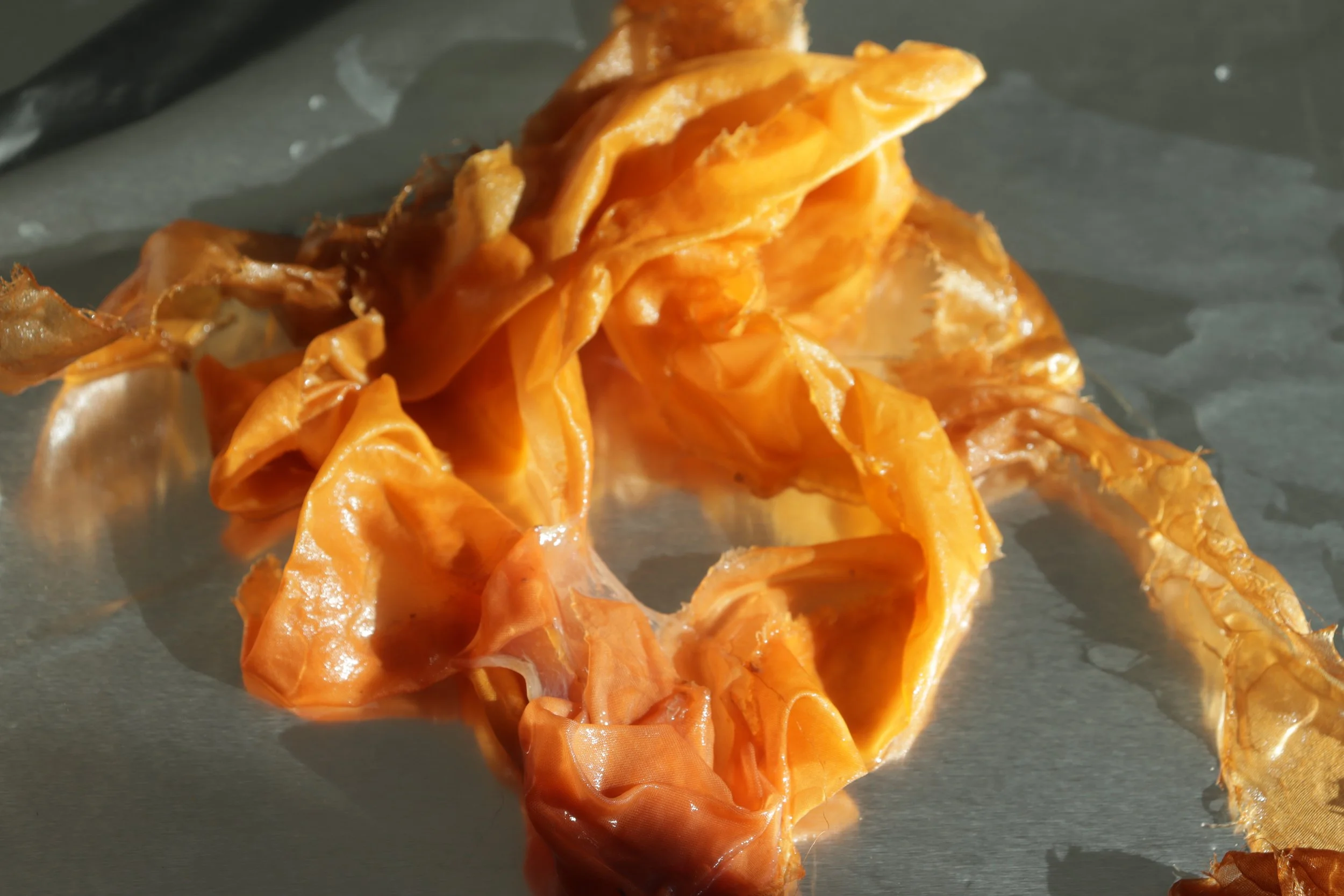 Silk & SCOBY in Madder root