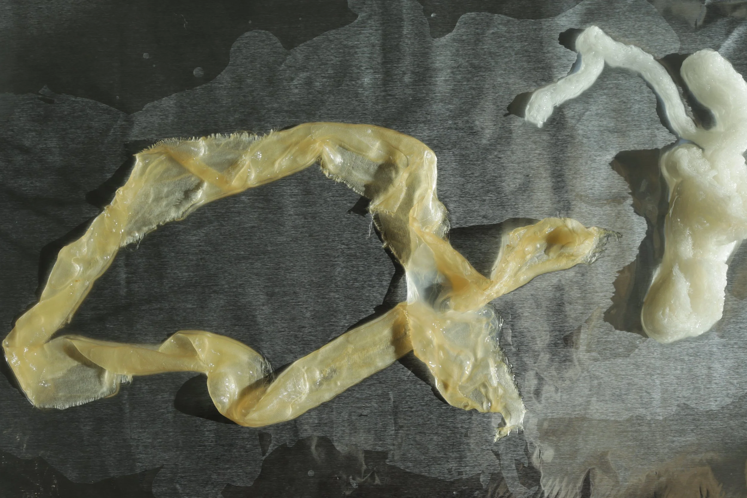 Silk and SCOBY with no dye