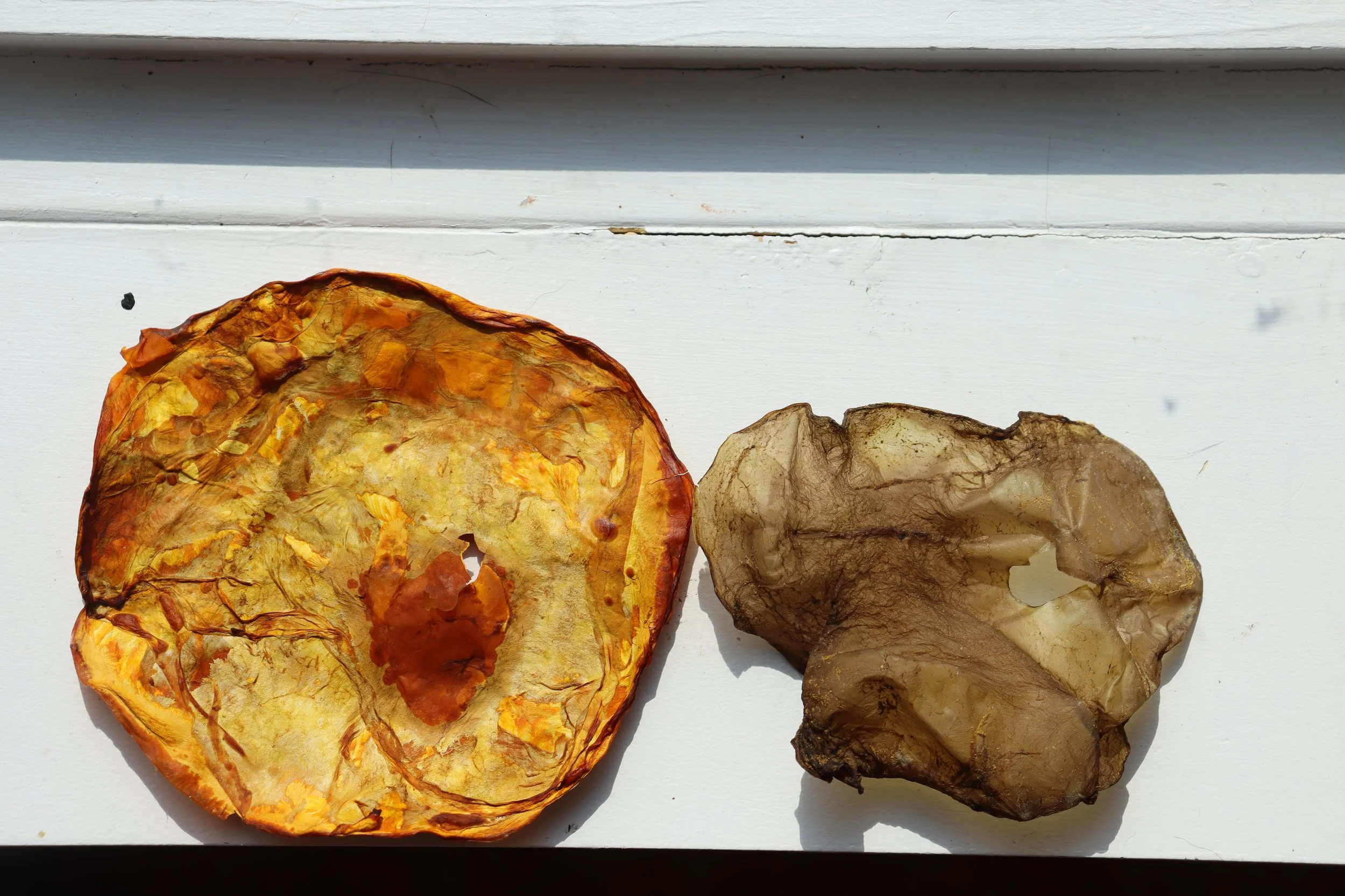 Marigold mix dye (left), Turmeric dye (right)