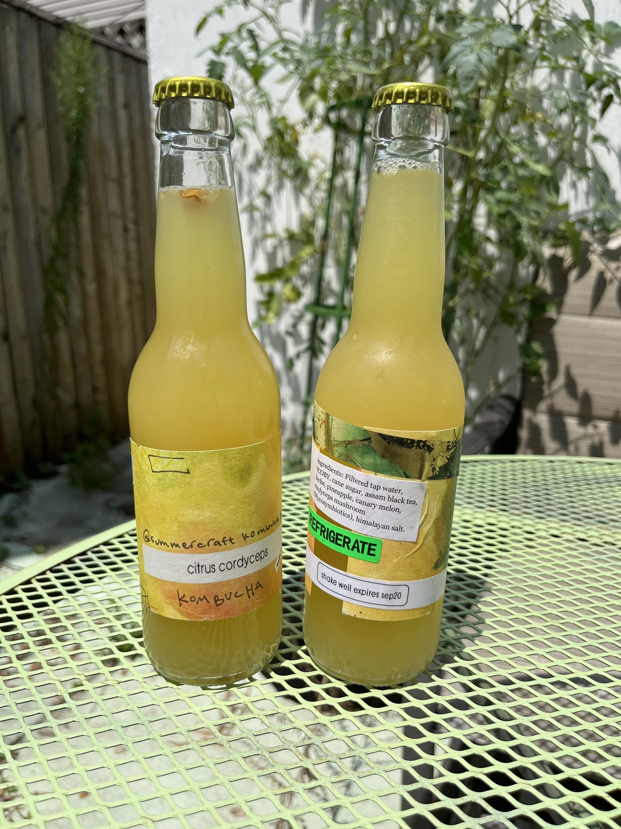 Citrus cordyceps 12oz duo.jpg