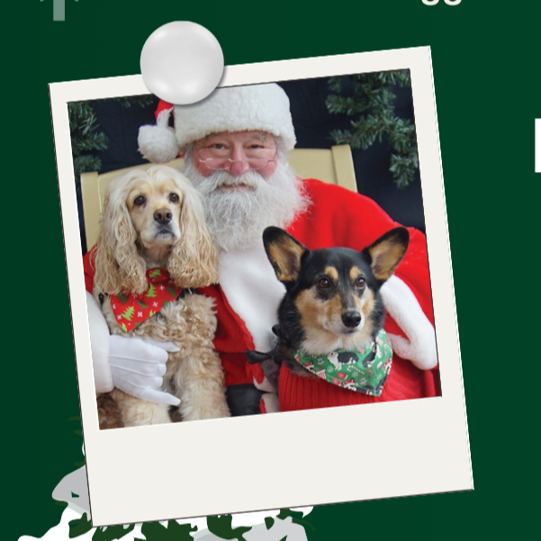 Santa Paws