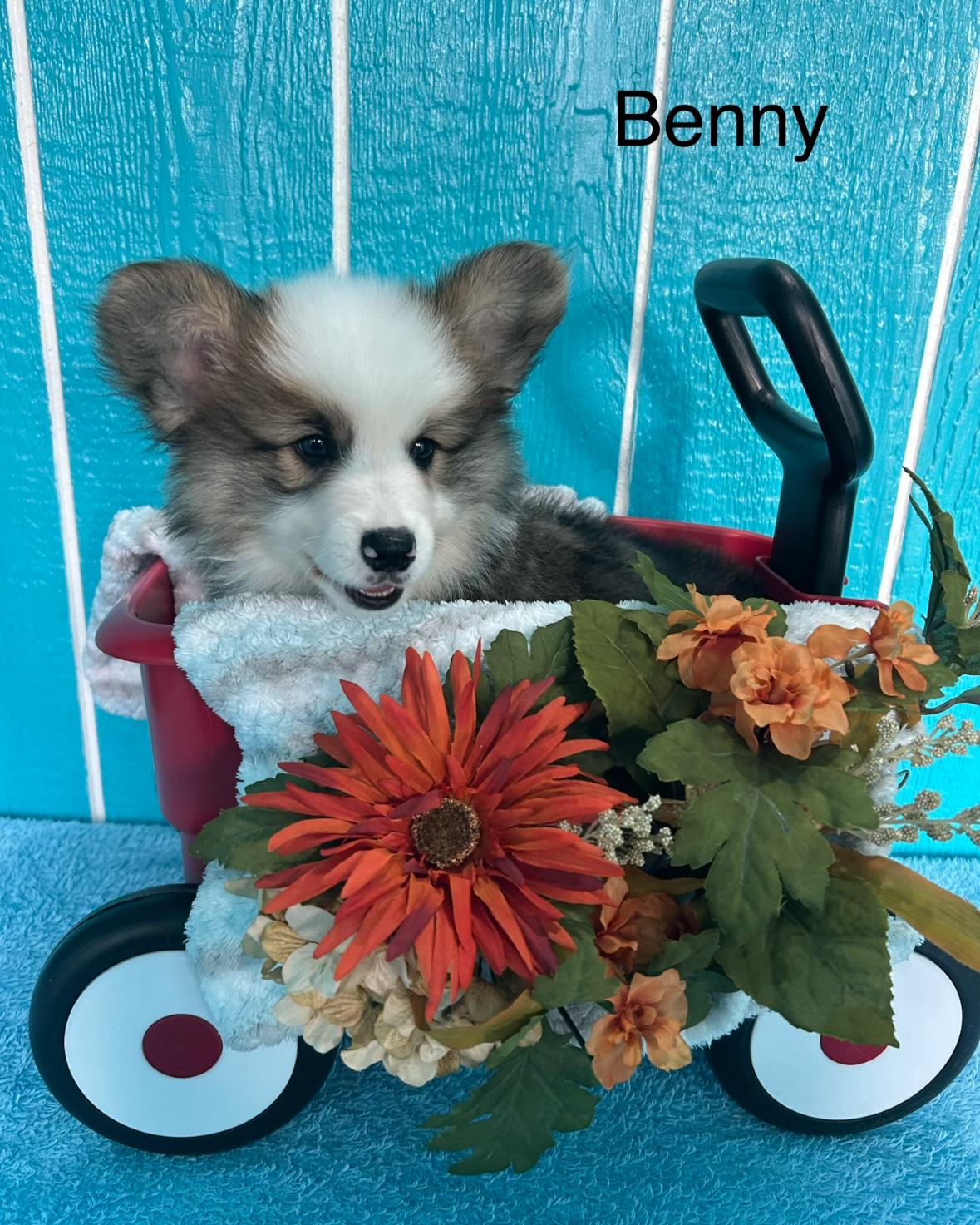 Benny