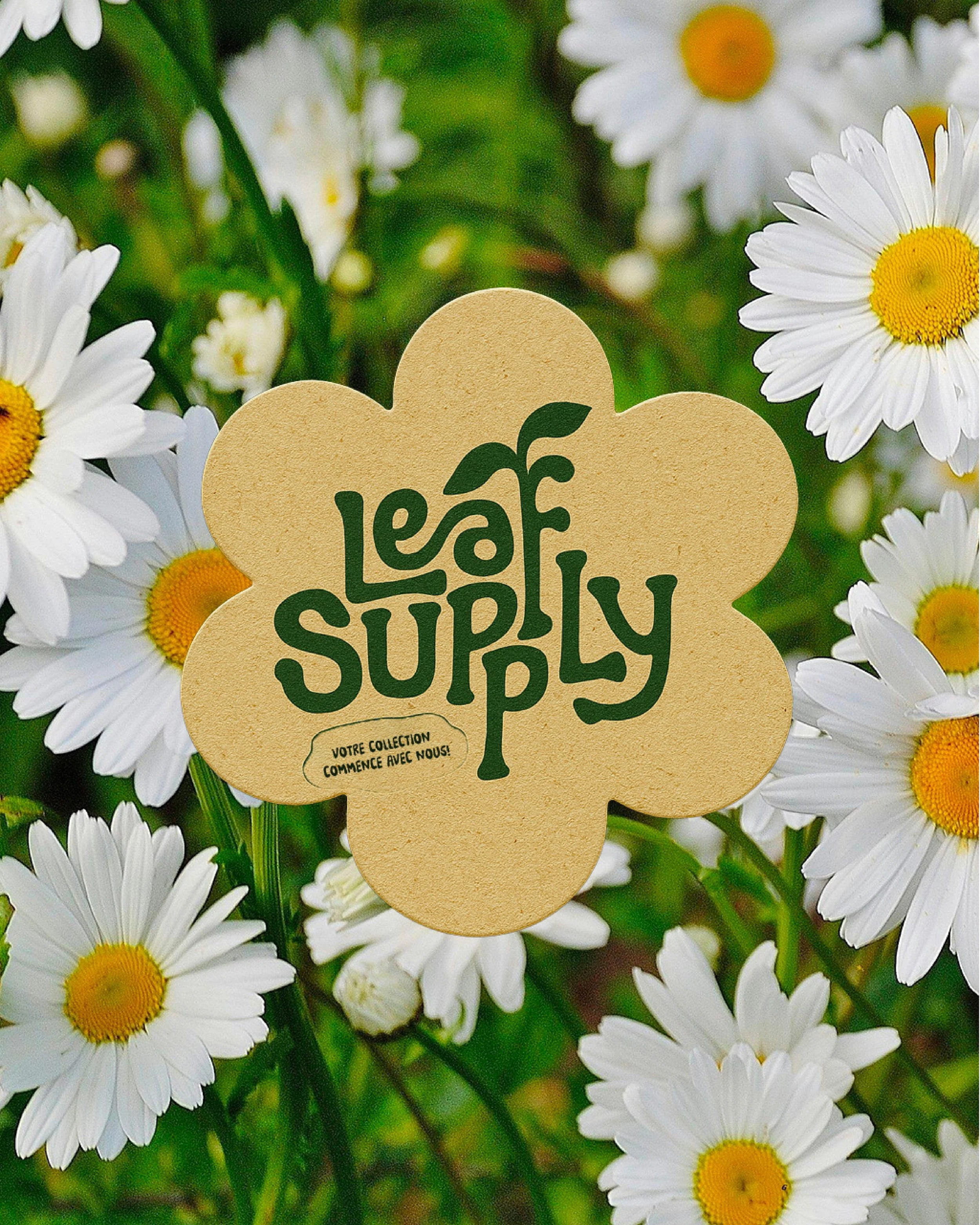 Une étiquette en forme de fleur avec le texte 'Leaf Supply' en vert foncé, entourée de marguerites blanches et jaunes, dans un jardin de fleurs.