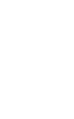 Spark Icon
