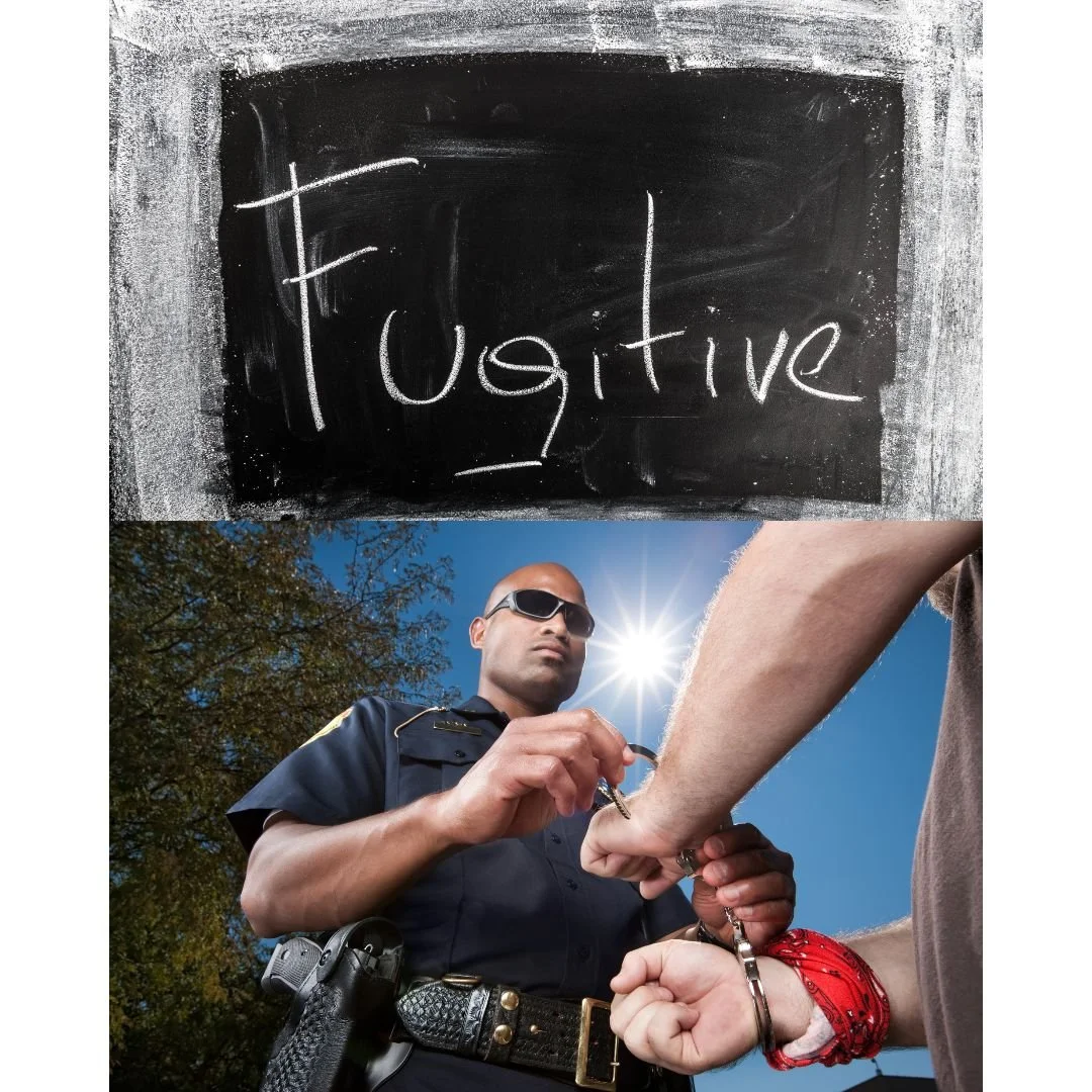 Beyond the Ping: Advanced Cellular Tactics for Fugitive Capture - Plymouth, MI