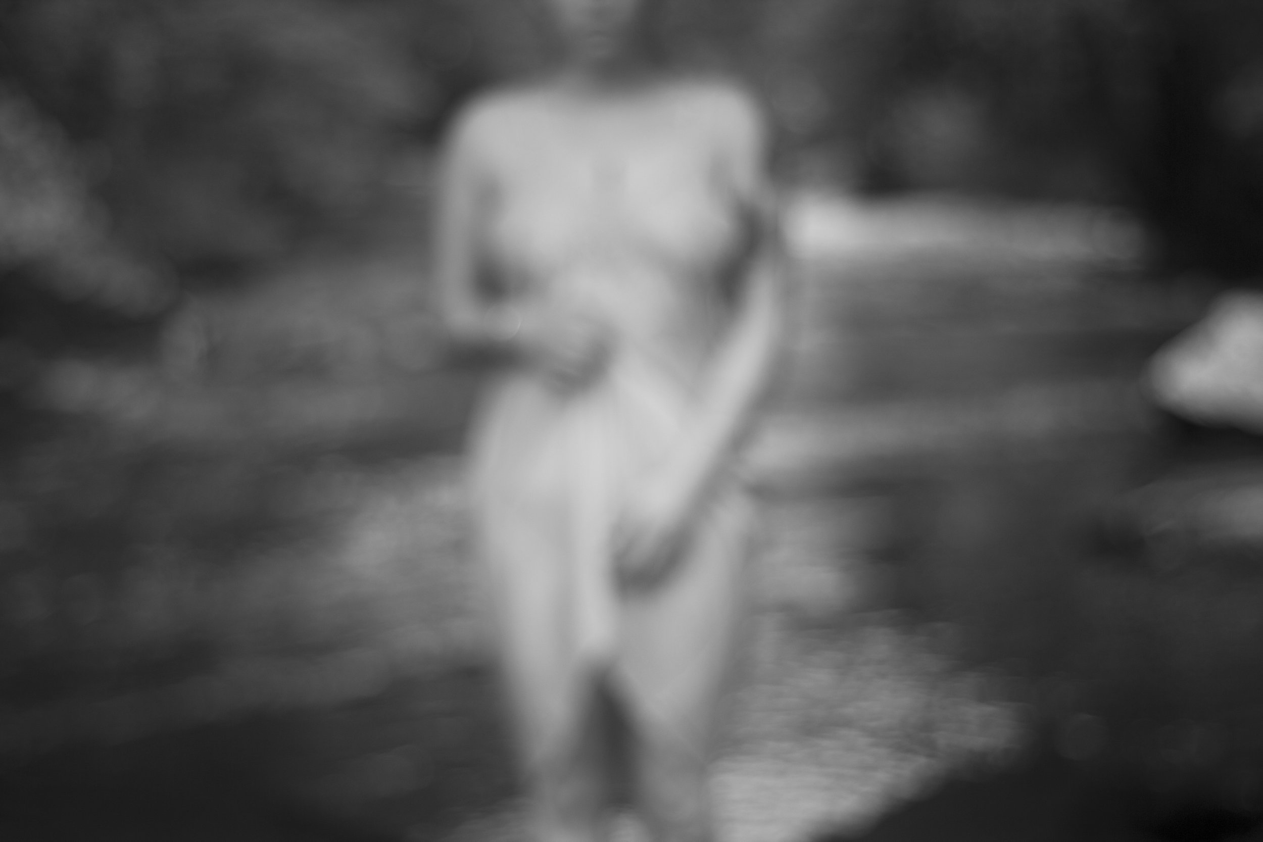 _MG_9488.jpg