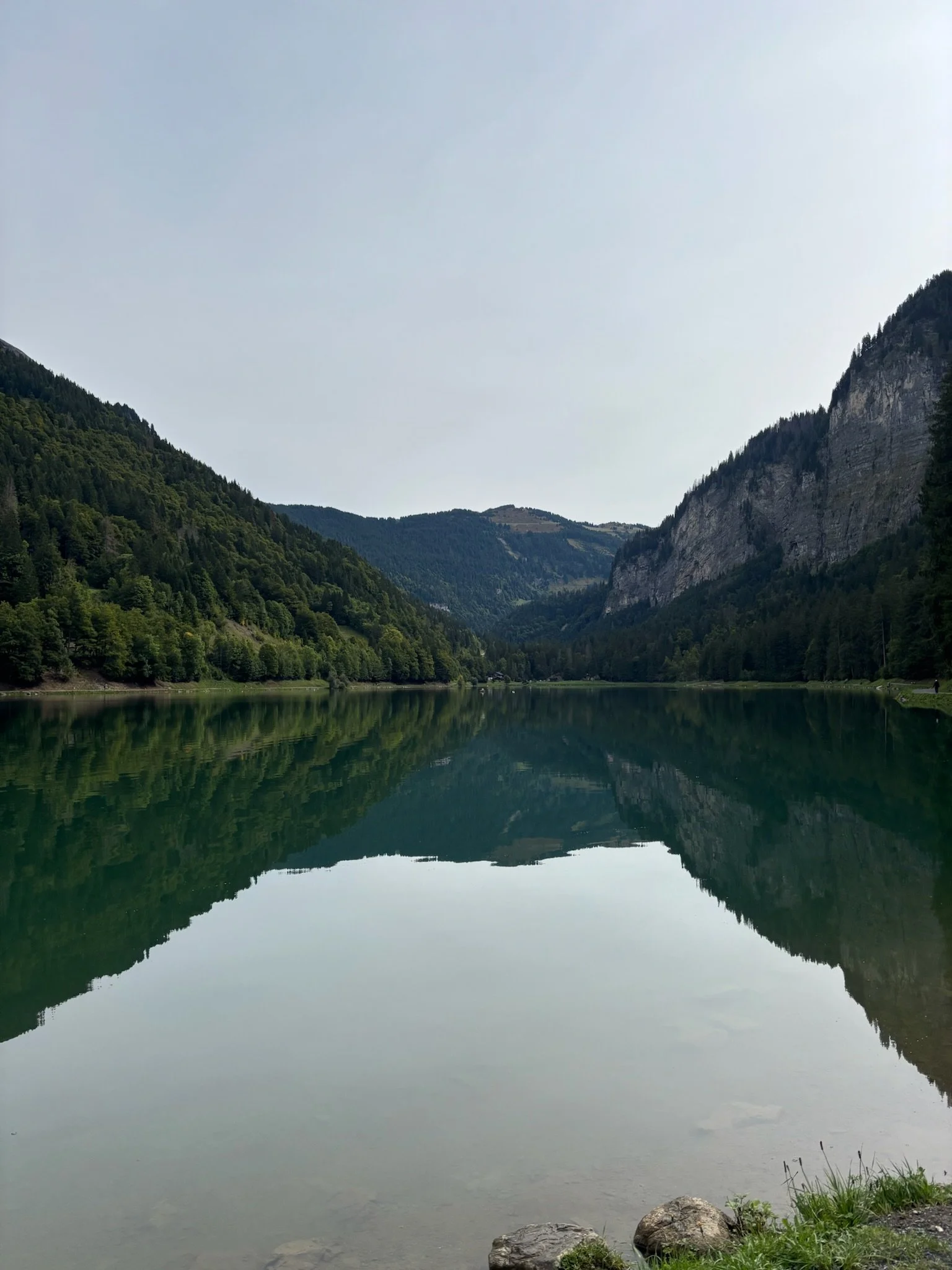 IMG_3515.JPG