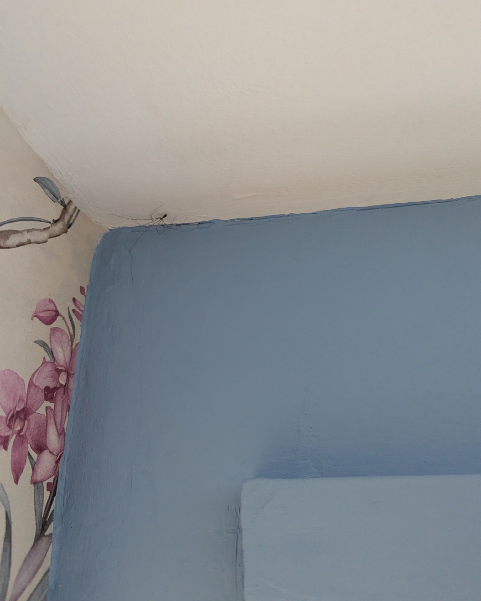 👀 Want a job that looks like this?
Well&hellip; if you do, don&rsquo;t come to me.
(This was done by a professional decorator)

I&rsquo;m often asked why my prices are higher than some other decorators &mdash; and the answer is simple:

⭐ Quality wo