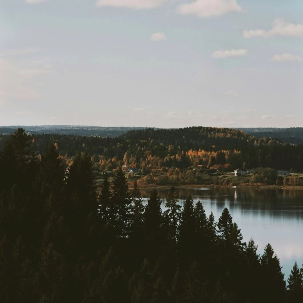 Color Notes: This Week At Stanwich Painting