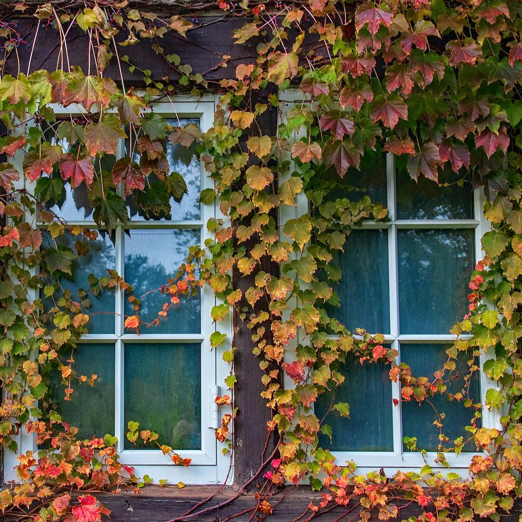 What Color Consultants Know (That Trends Forgot): Why Rich, Traditional Color Is Back