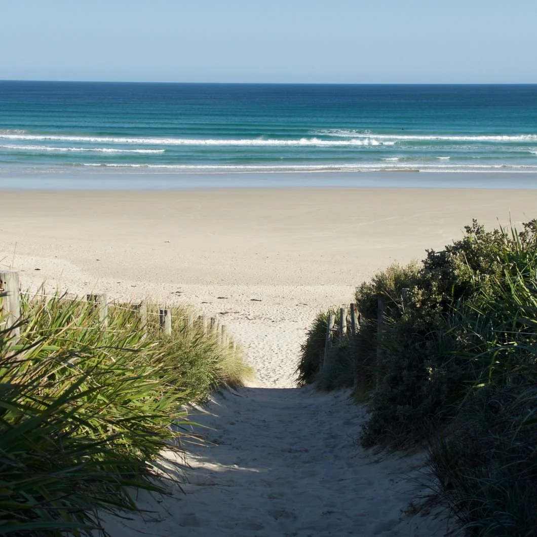Morning Beach Scene