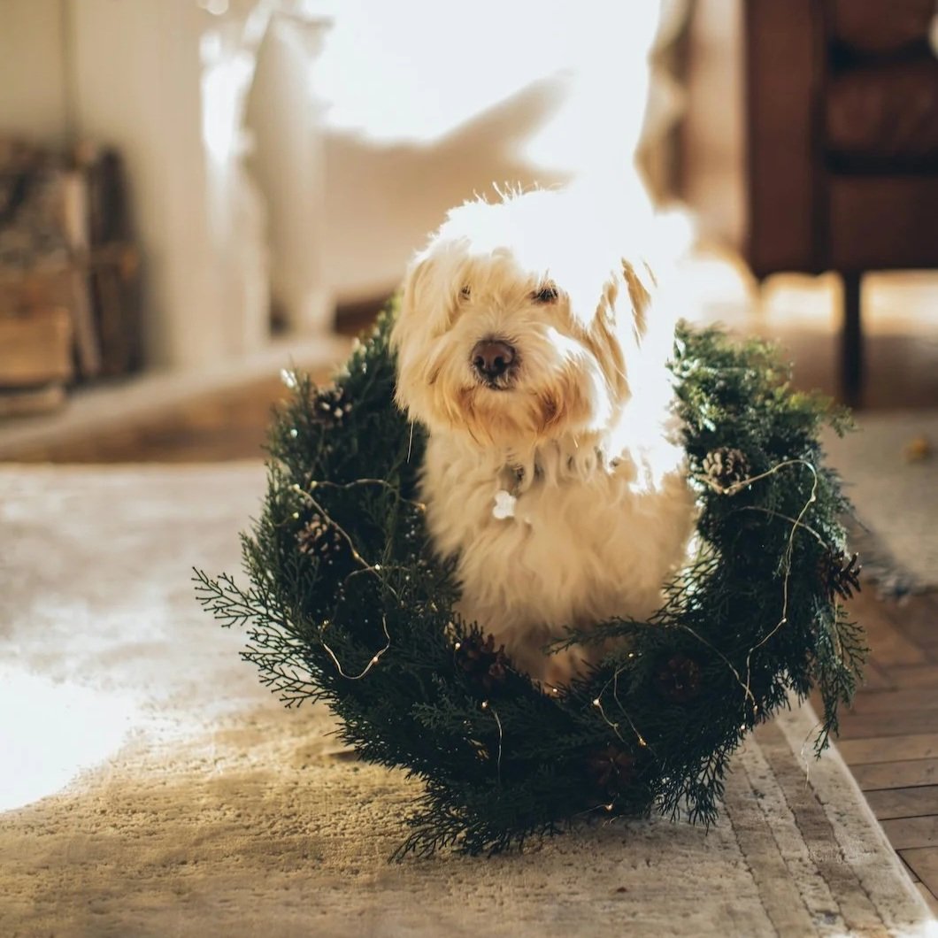 Color Notes: This Week At Stanwich Painting