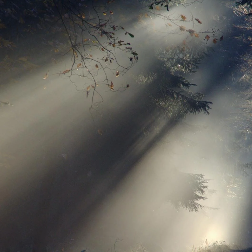 Interior & Exterior Painting | Stanwich Painting, Fairfield County CT