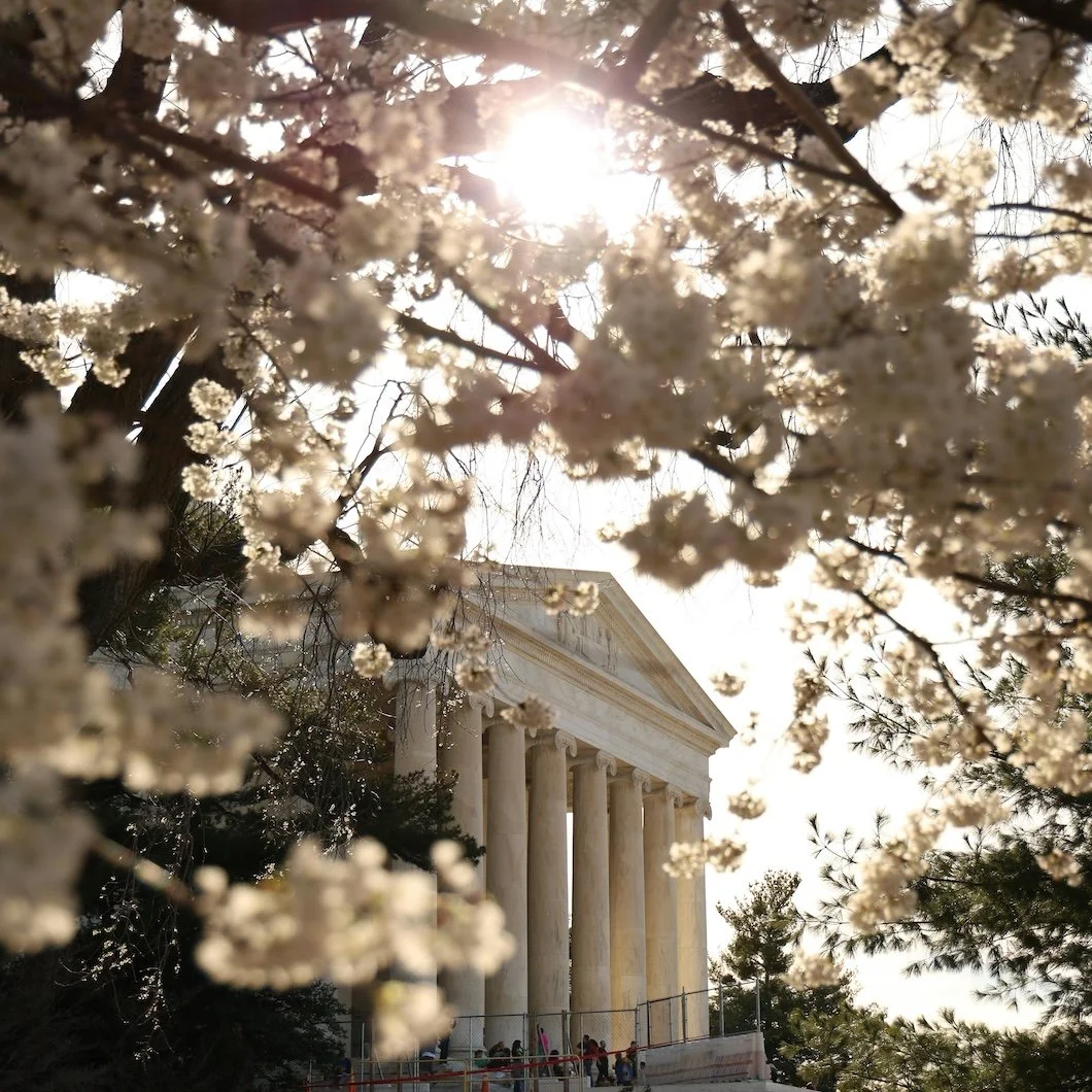 Presidential Palettes: How American History Still Shapes Interior Color Today