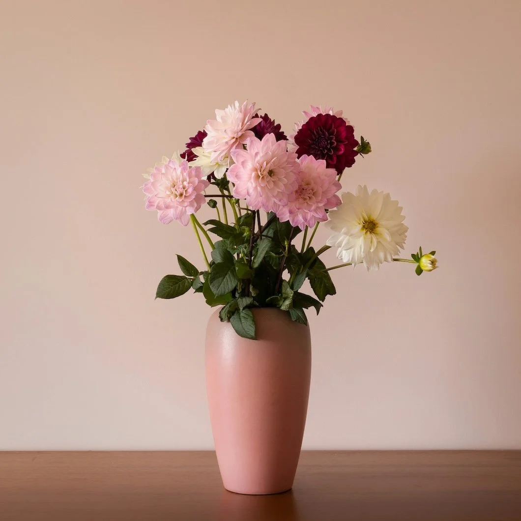 refined soft pink, white a yellow flower colors in a pink vase