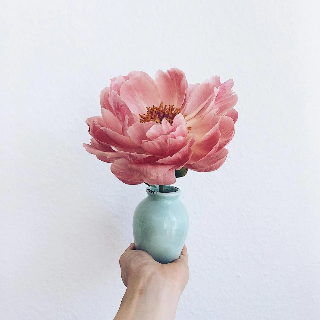 Spring Color Design: Benjamin Moore And Farrow &amp; Ball Palettes For Fresh Interiors