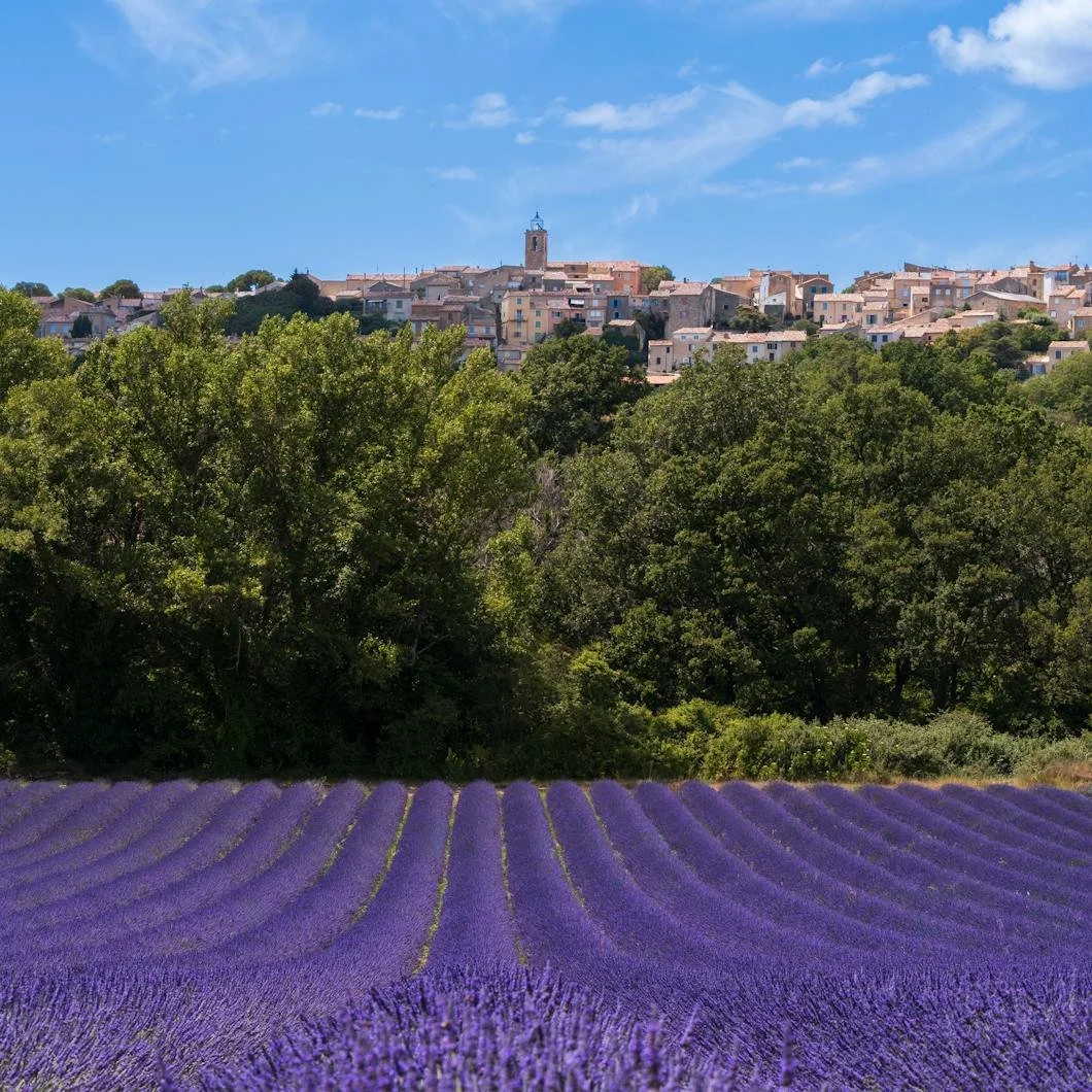 Colors Countryside vivid blue sky purple fields
