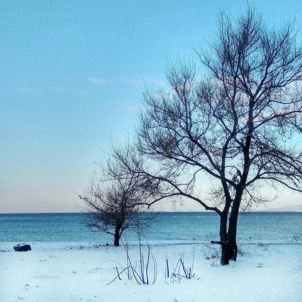 Color Notes: This Week At Stanwich Painting