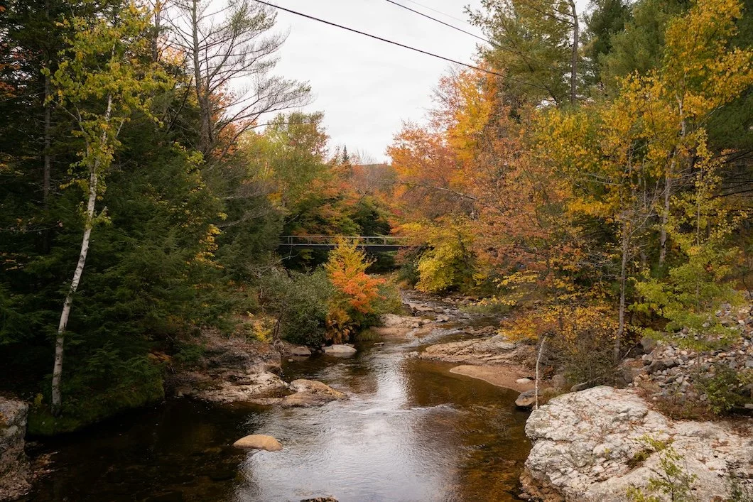 The Color Archetypes: The Naturalist – Grounded, Serene, And Connected To The Living World