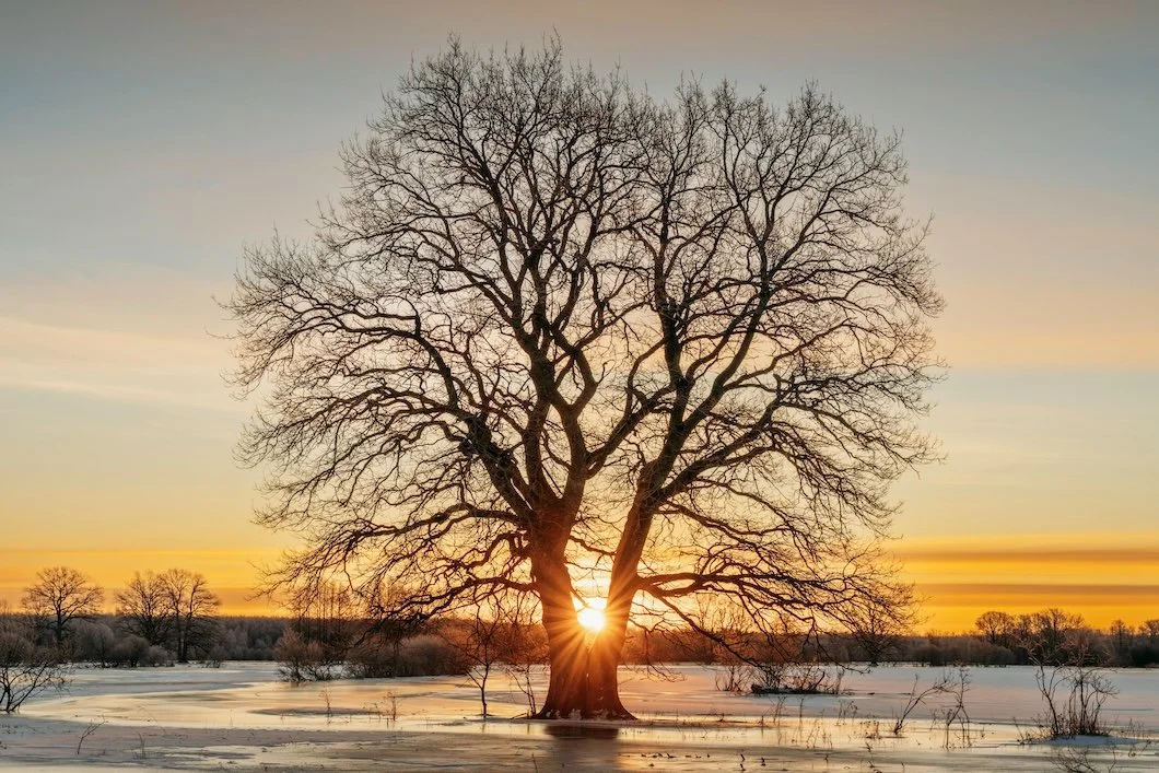 Color Notes: This Week At Stanwich Painting